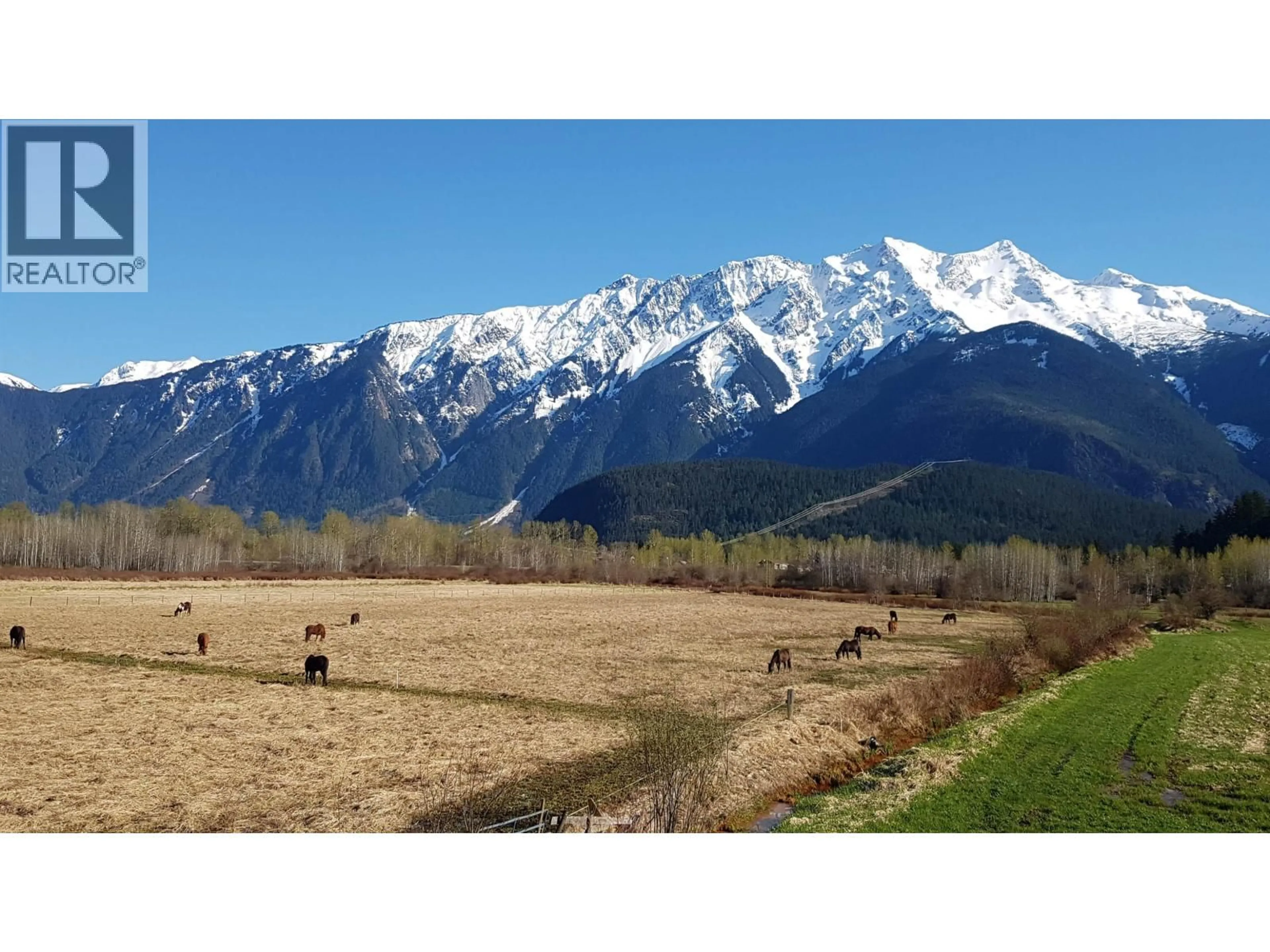 Blurry image for 1380 COLLINS ROAD, Pemberton British Columbia V0N2L1