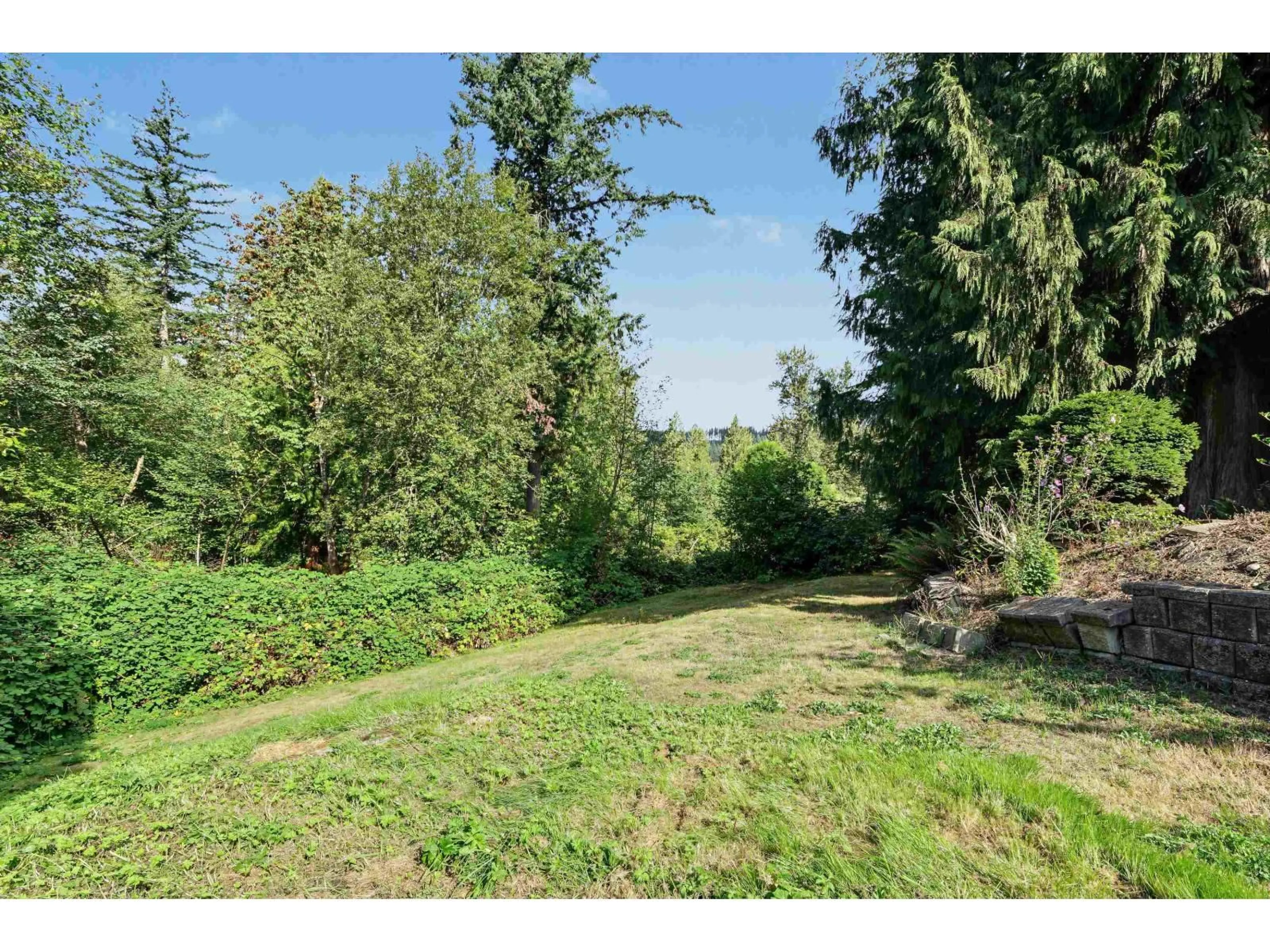 A pic from outside/outdoor area/front of a property/back of a property/a pic from drone, forest/trees view for 5 - 2216 LOUGHEED HIGHWAY, Agassiz British Columbia V0M1A1