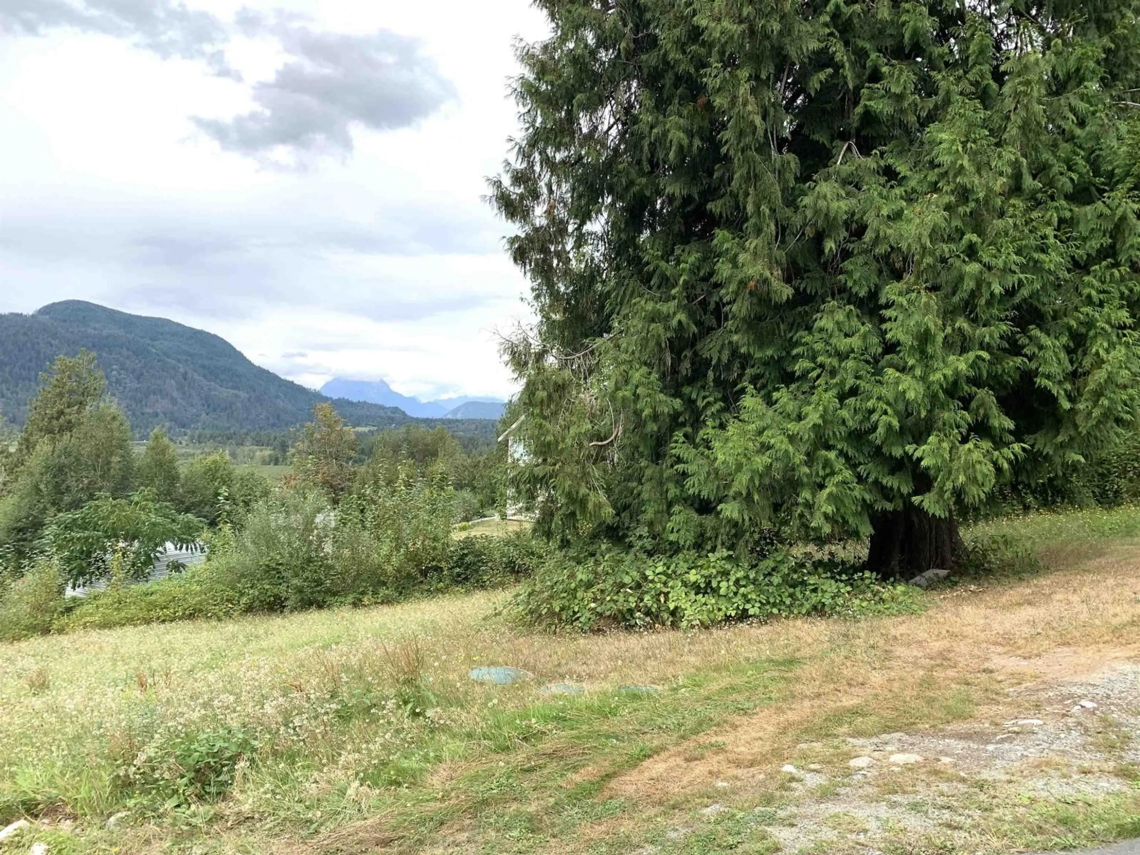 A pic from outside/outdoor area/front of a property/back of a property/a pic from drone, forest/trees view for 10710 SYLVESTER ROAD, Mission British Columbia V2V4J1