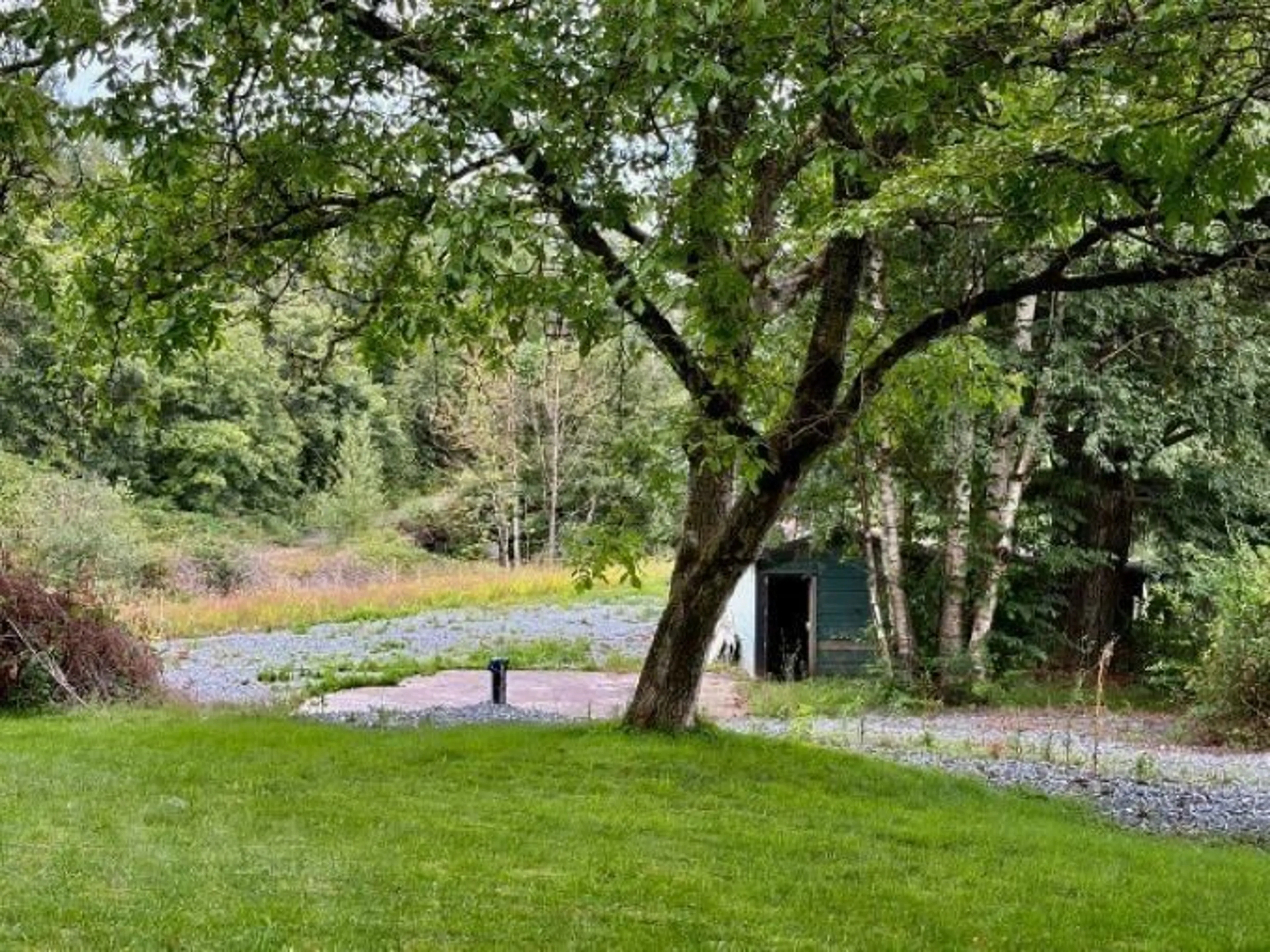 A pic from outside/outdoor area/front of a property/back of a property/a pic from drone, forest/trees view for 37318 WARD ROAD, Abbotsford British Columbia V3G2K6