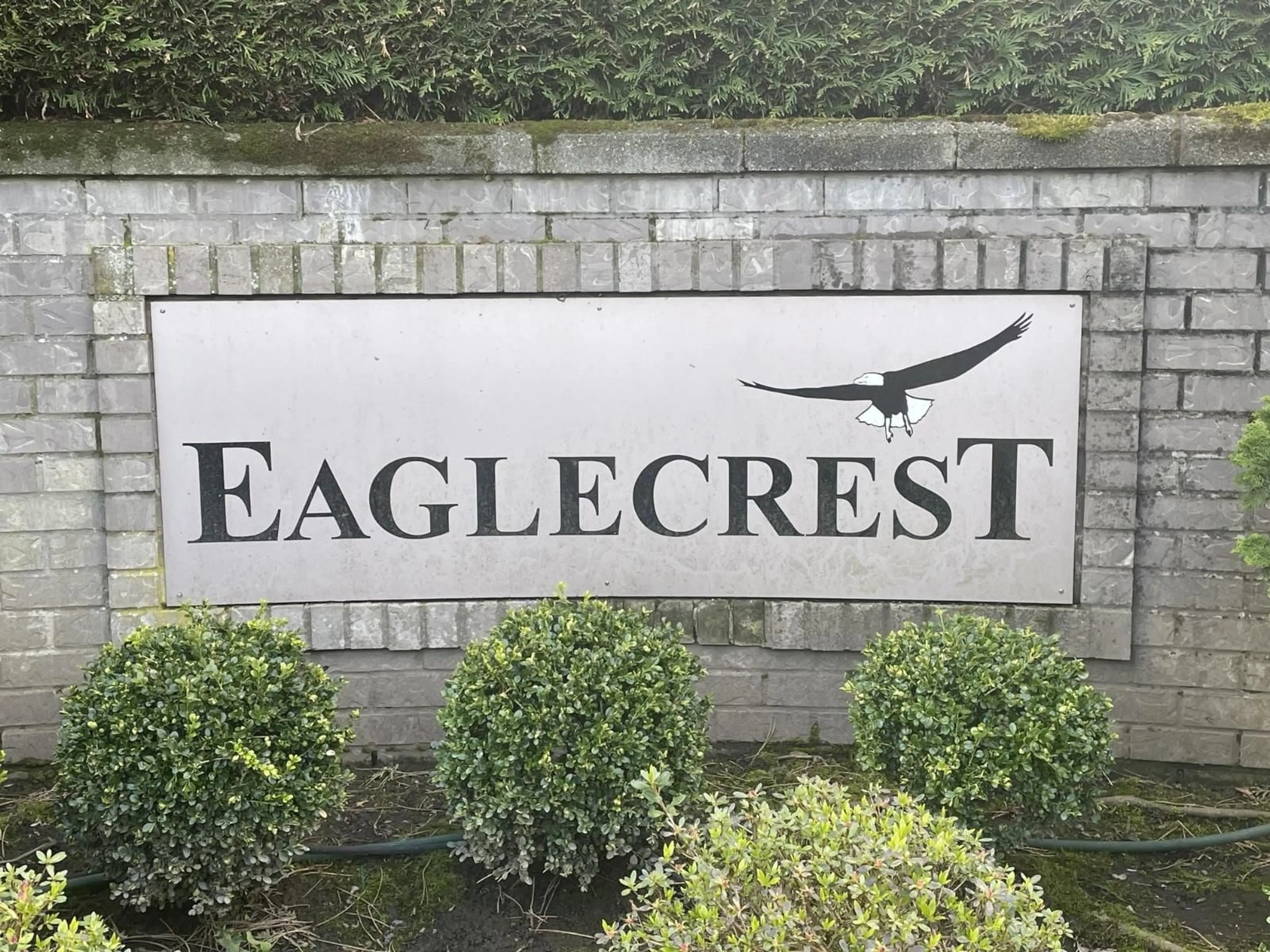 A pic from outside/outdoor area/front of a property/back of a property/a pic from drone, street for 36 - 4740 221 STREET, Langley British Columbia V2Z1L8