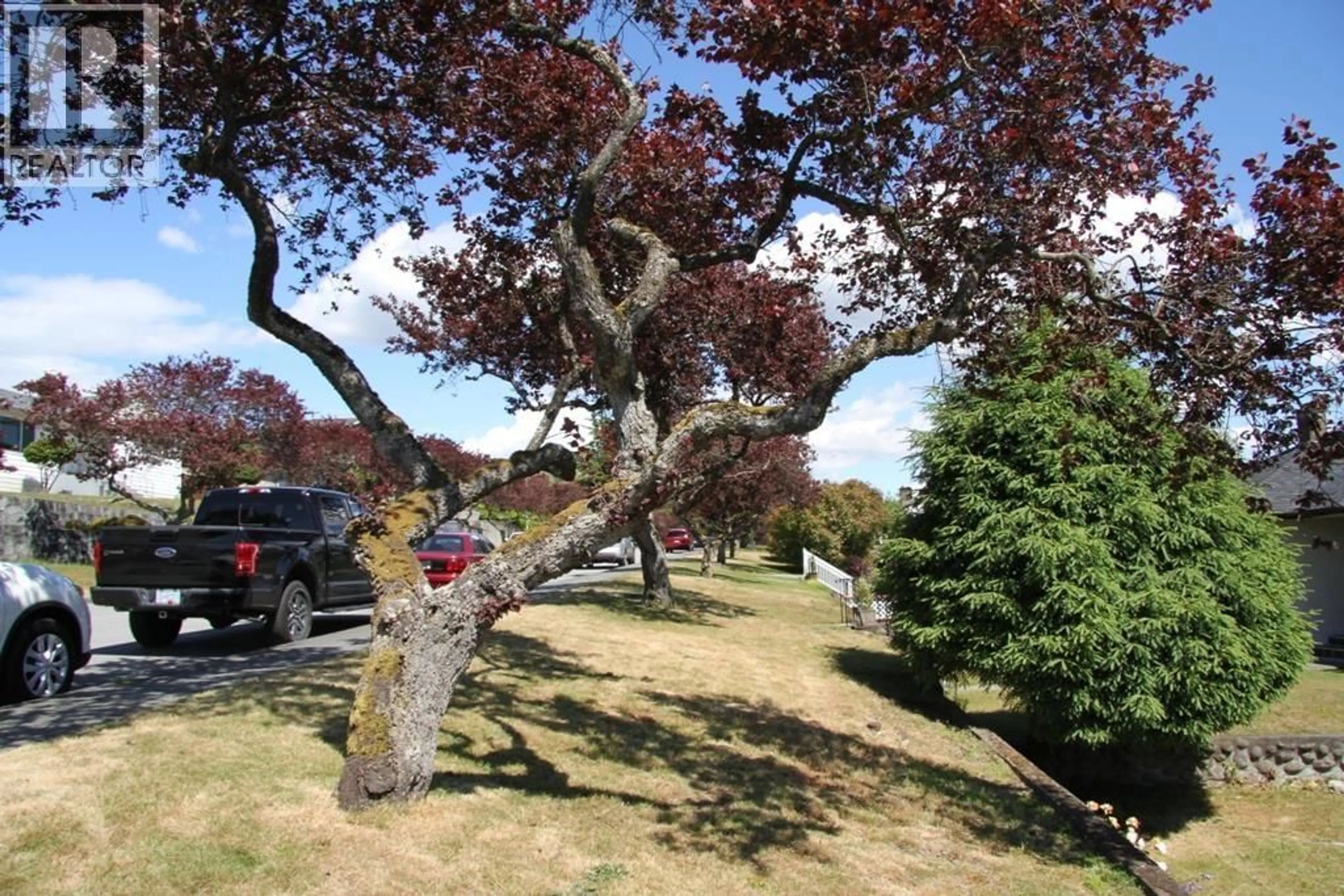 A pic from outside/outdoor area/front of a property/back of a property/a pic from drone, forest/trees view for 4772 RIDGELAWN DRIVE, Burnaby British Columbia V5C3Y2