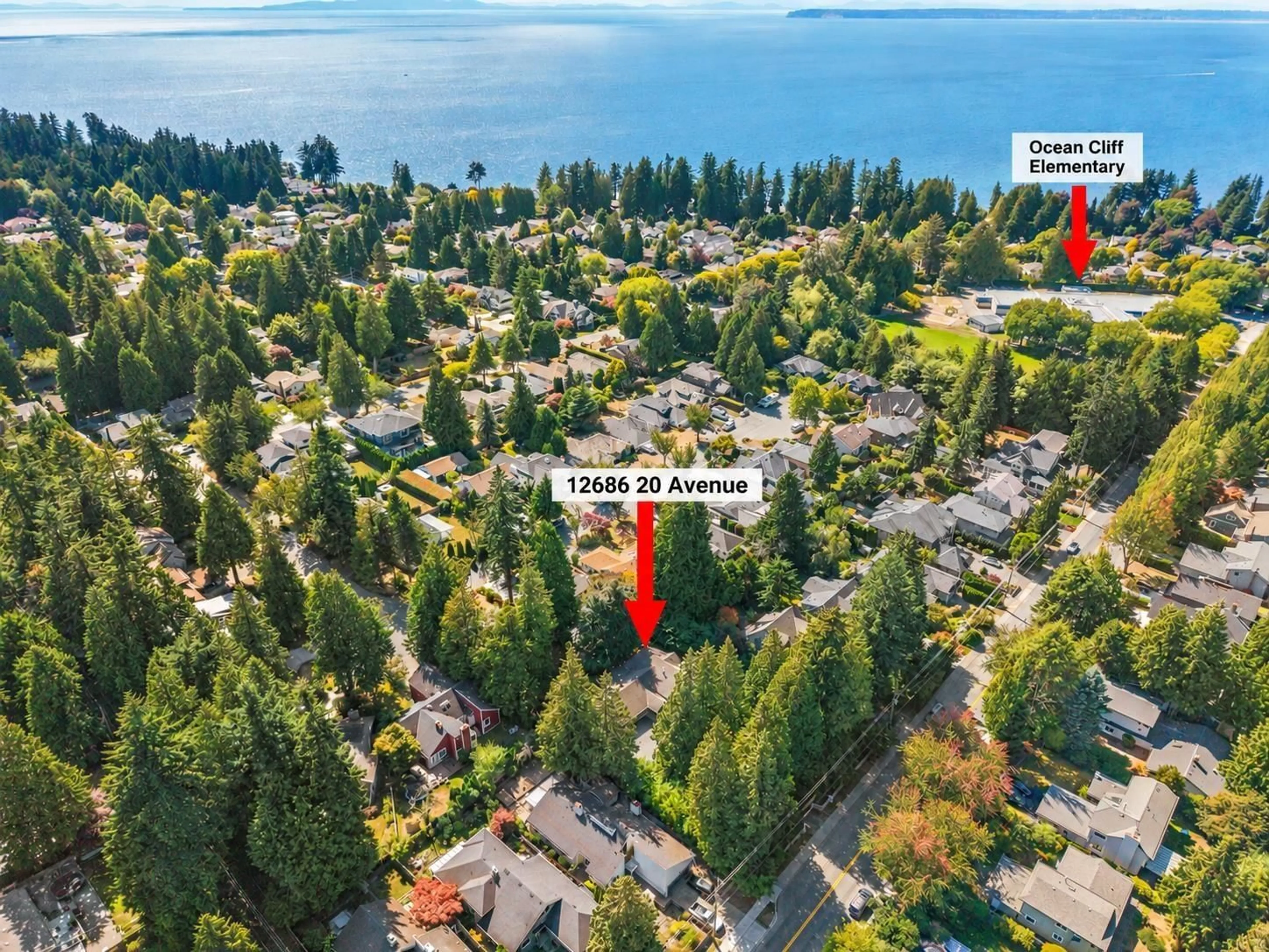 A pic from outside/outdoor area/front of a property/back of a property/a pic from drone, water/lake/river/ocean view for 12686 20 AVENUE, Surrey British Columbia V4Y1Y6