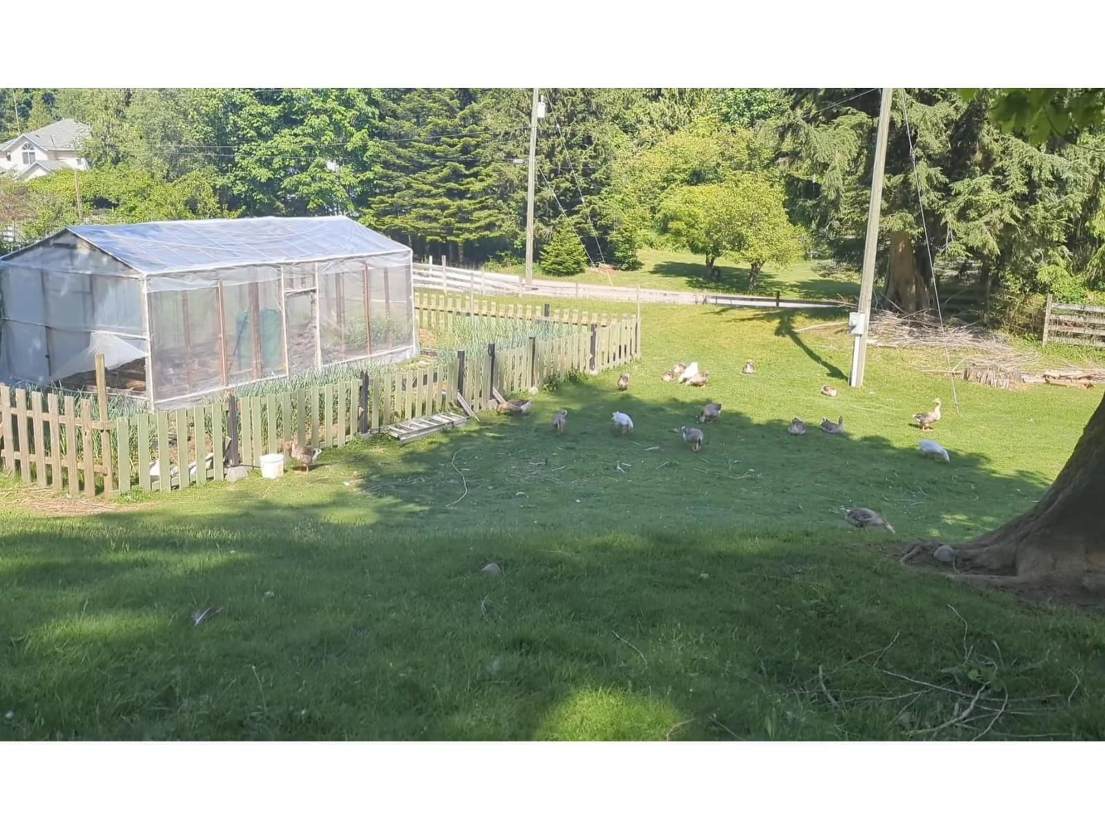 A pic from outside/outdoor area/front of a property/back of a property/a pic from drone, mountain view for 47631 FORESTER ROAD, Ryder Lake British Columbia V2R4M6