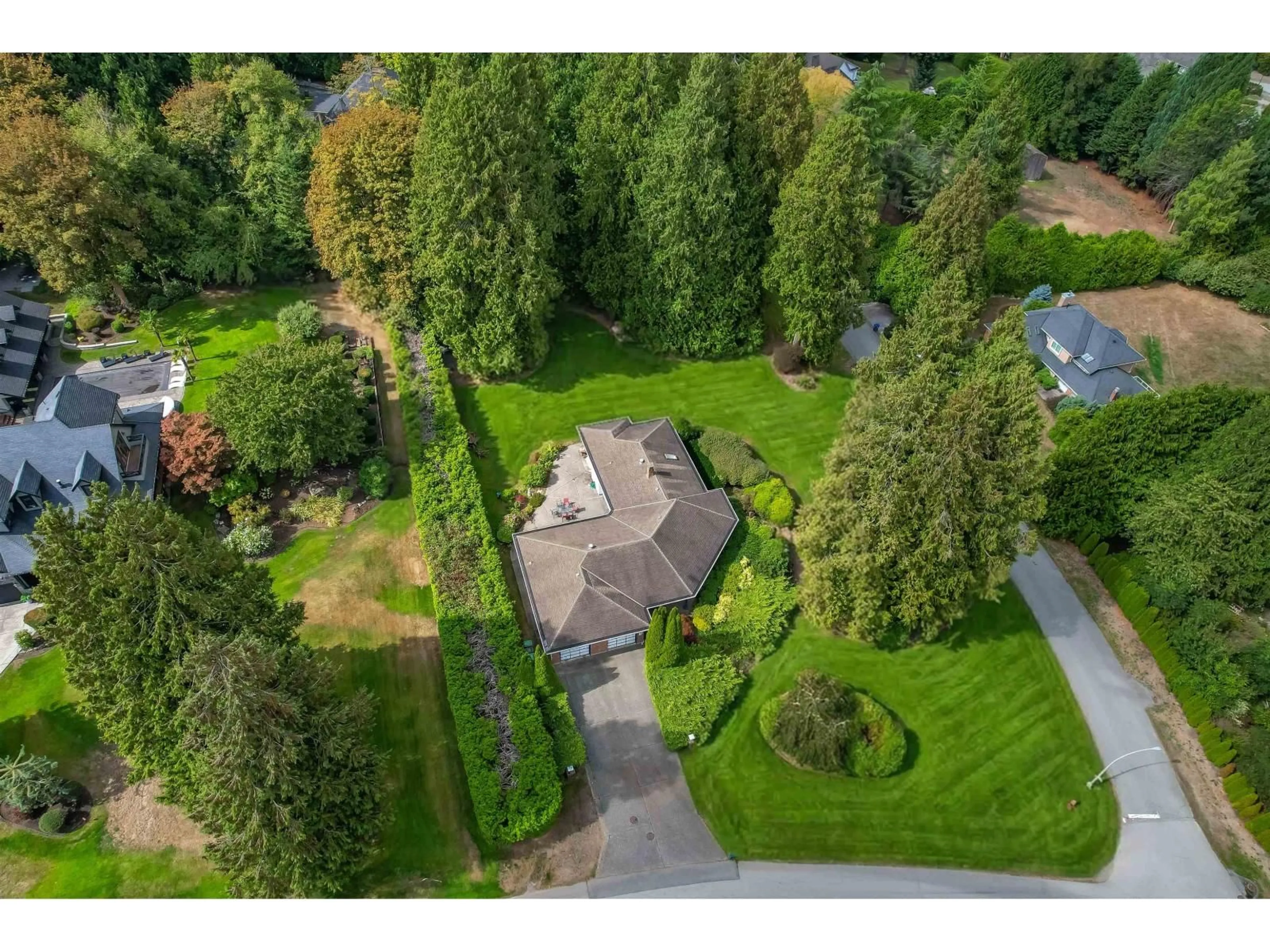 A pic from outside/outdoor area/front of a property/back of a property/a pic from drone, forest/trees view for 3039 163 ST STREET, Surrey British Columbia V3Z0E3
