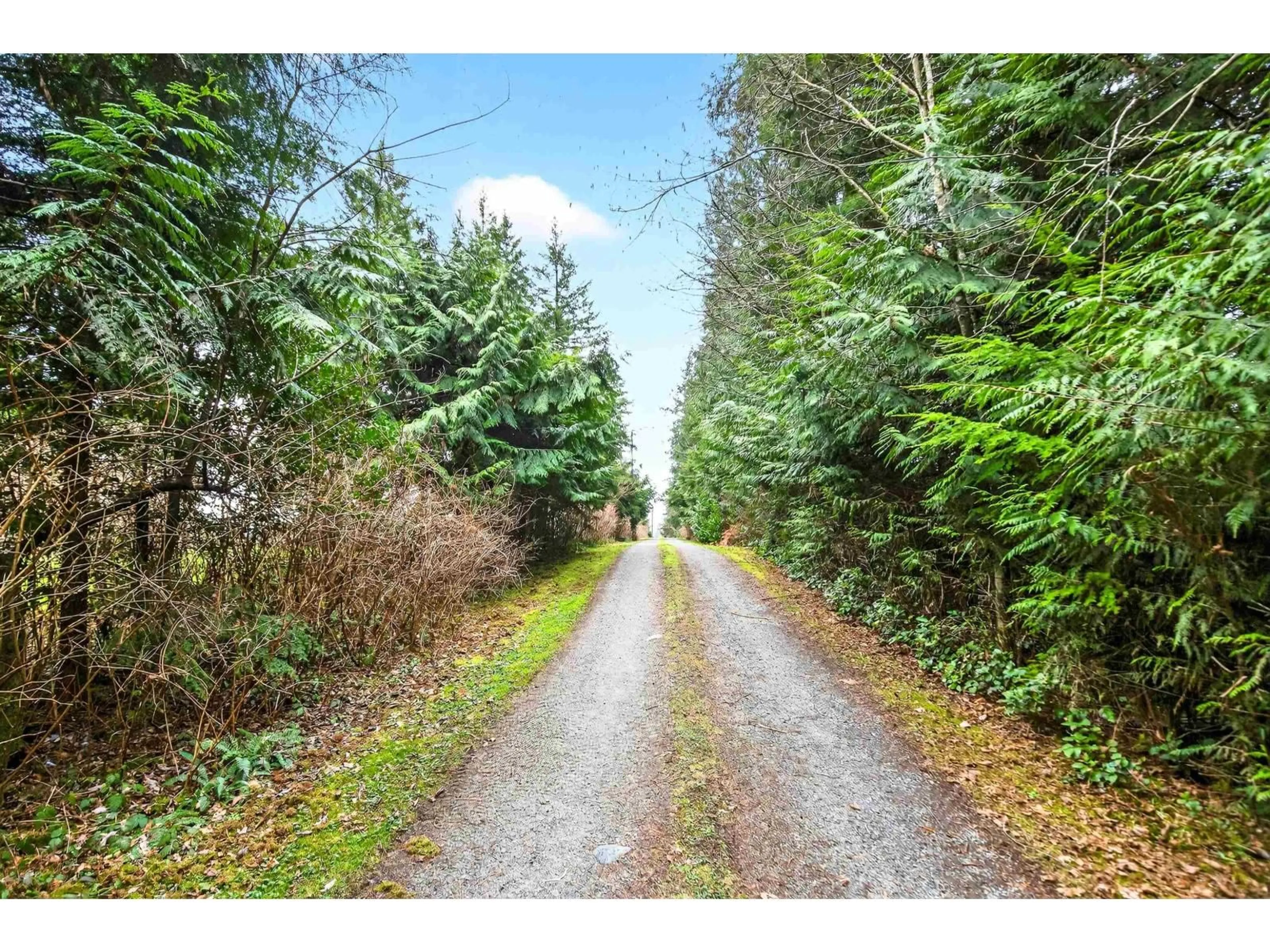 A pic from outside/outdoor area/front of a property/back of a property/a pic from drone, forest/trees view for 29907 DEWDNEY TRUNK ROAD, Mission British Columbia V4S1B7