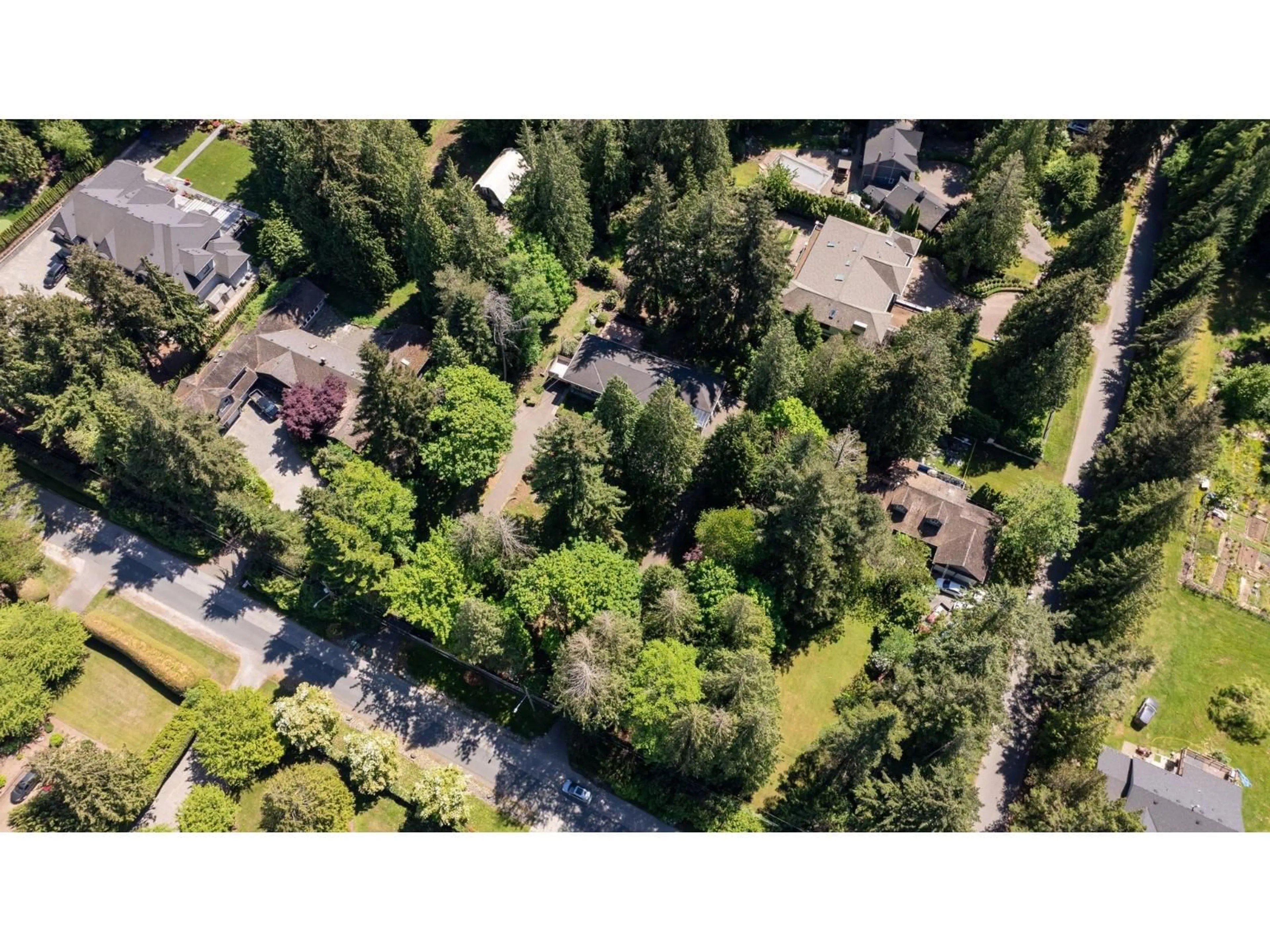A pic from outside/outdoor area/front of a property/back of a property/a pic from drone, forest/trees view for 13788 32 AVENUE, Surrey British Columbia V4P2B8