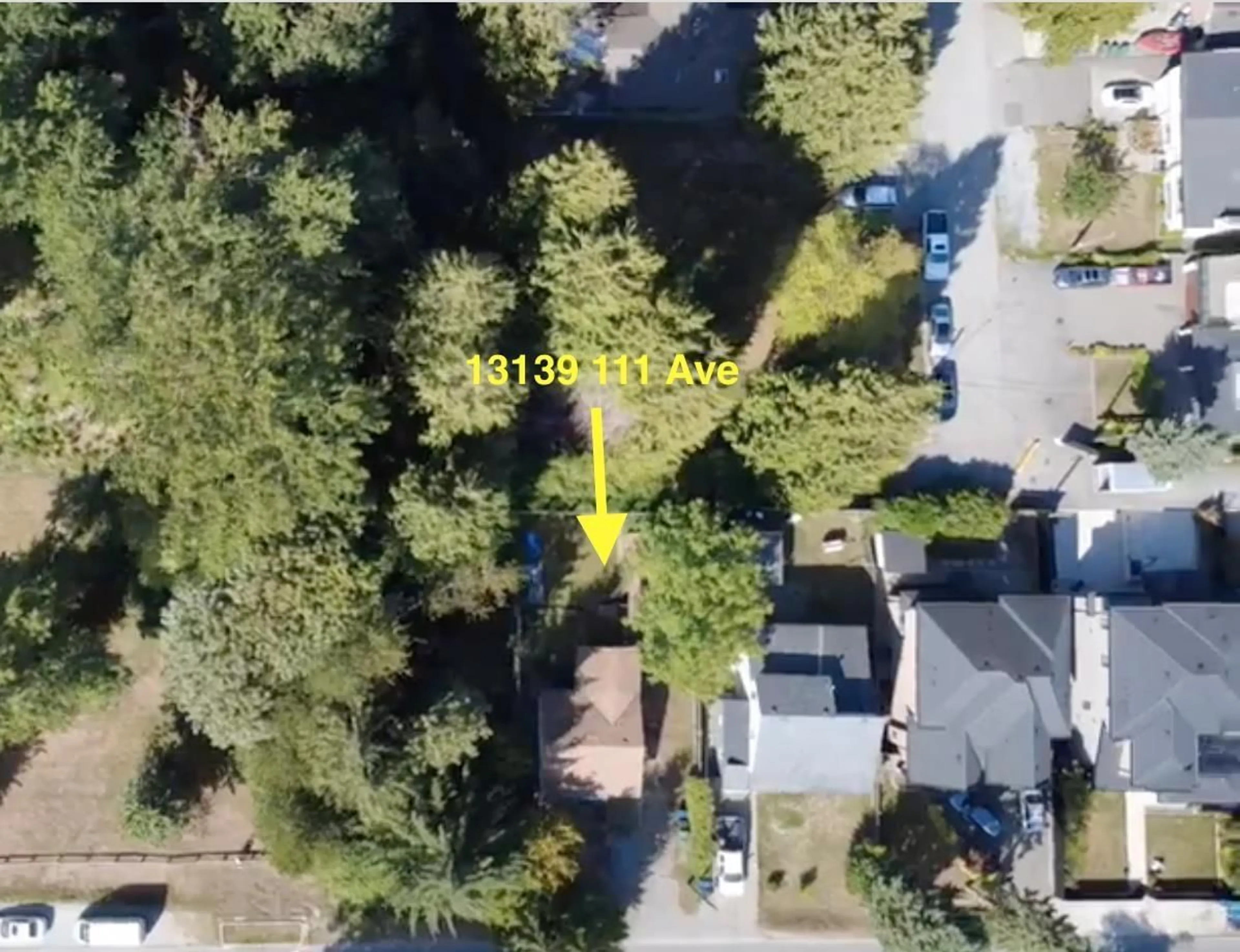 A pic from outside/outdoor area/front of a property/back of a property/a pic from drone, street for 13139 111 AVENUE, Surrey British Columbia V3T2S3