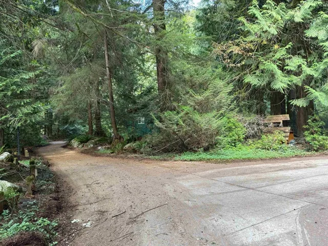 4831 WILLET ROAD, Abbotsford 5