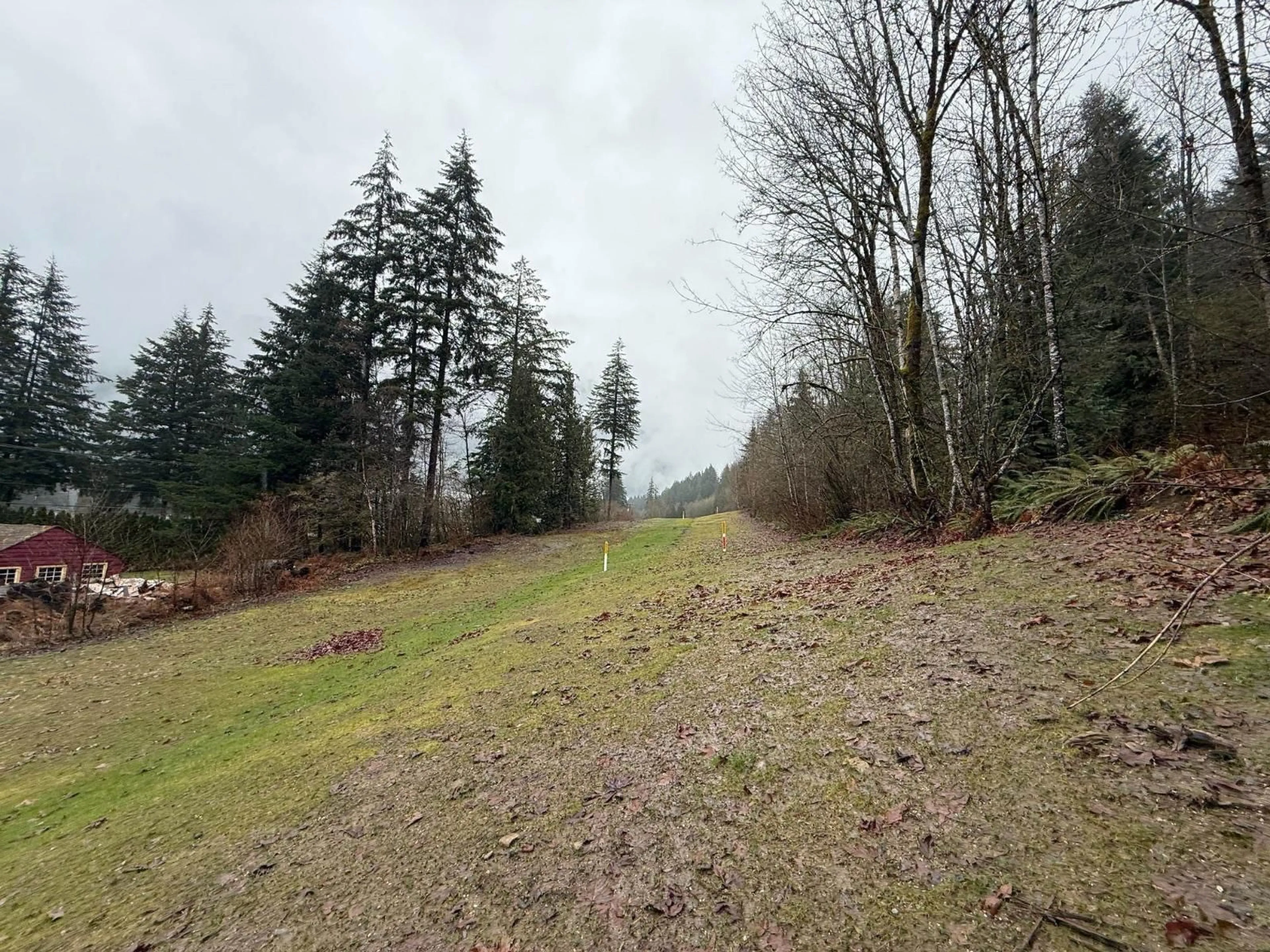 A pic from outside/outdoor area/front of a property/back of a property/a pic from drone, forest/trees view for 65936 KAWKAWA LAKE ROAD, Hope British Columbia V0X1L1