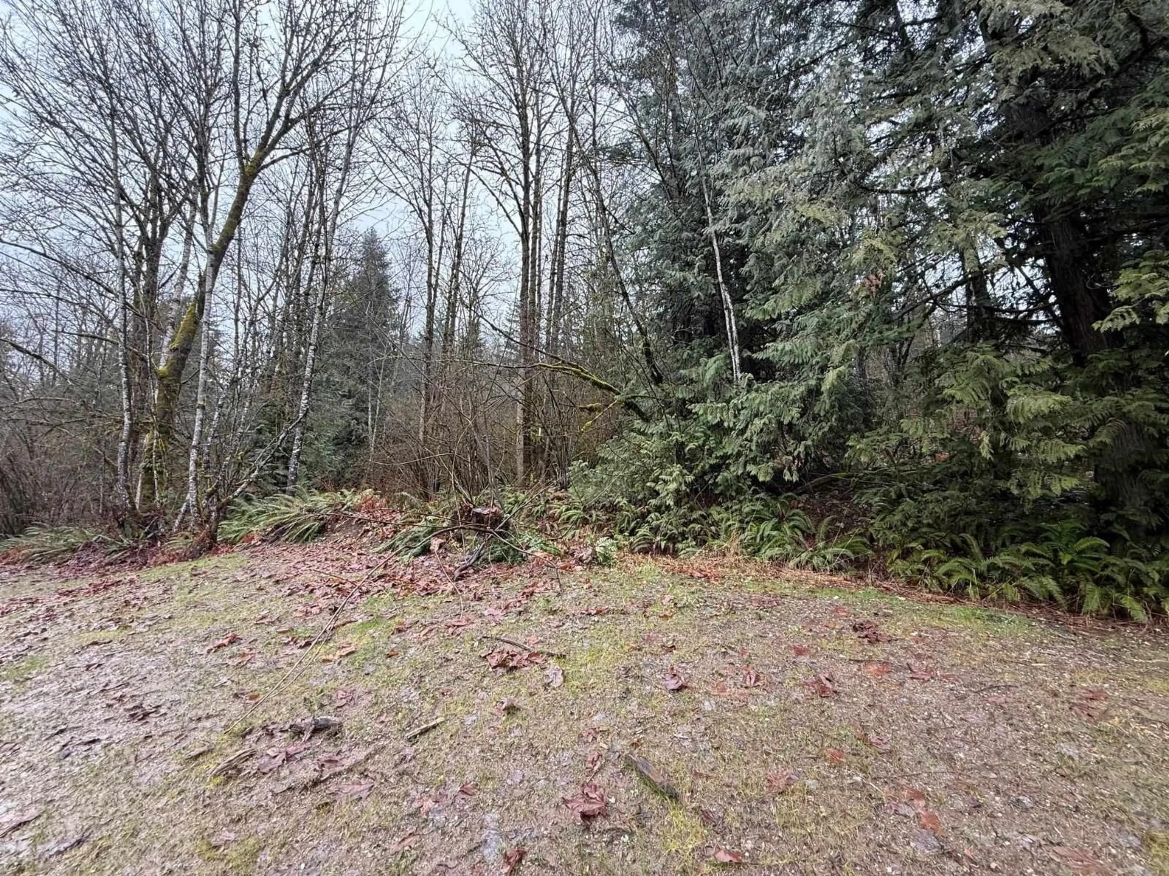 A pic from outside/outdoor area/front of a property/back of a property/a pic from drone, forest/trees view for 65936 KAWKAWA LAKE ROAD, Hope British Columbia V0X1L1