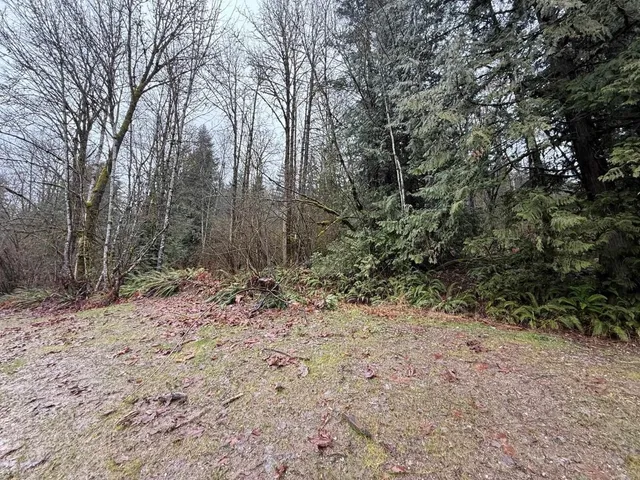 65936 KAWKAWA LAKE ROAD, Hope 4