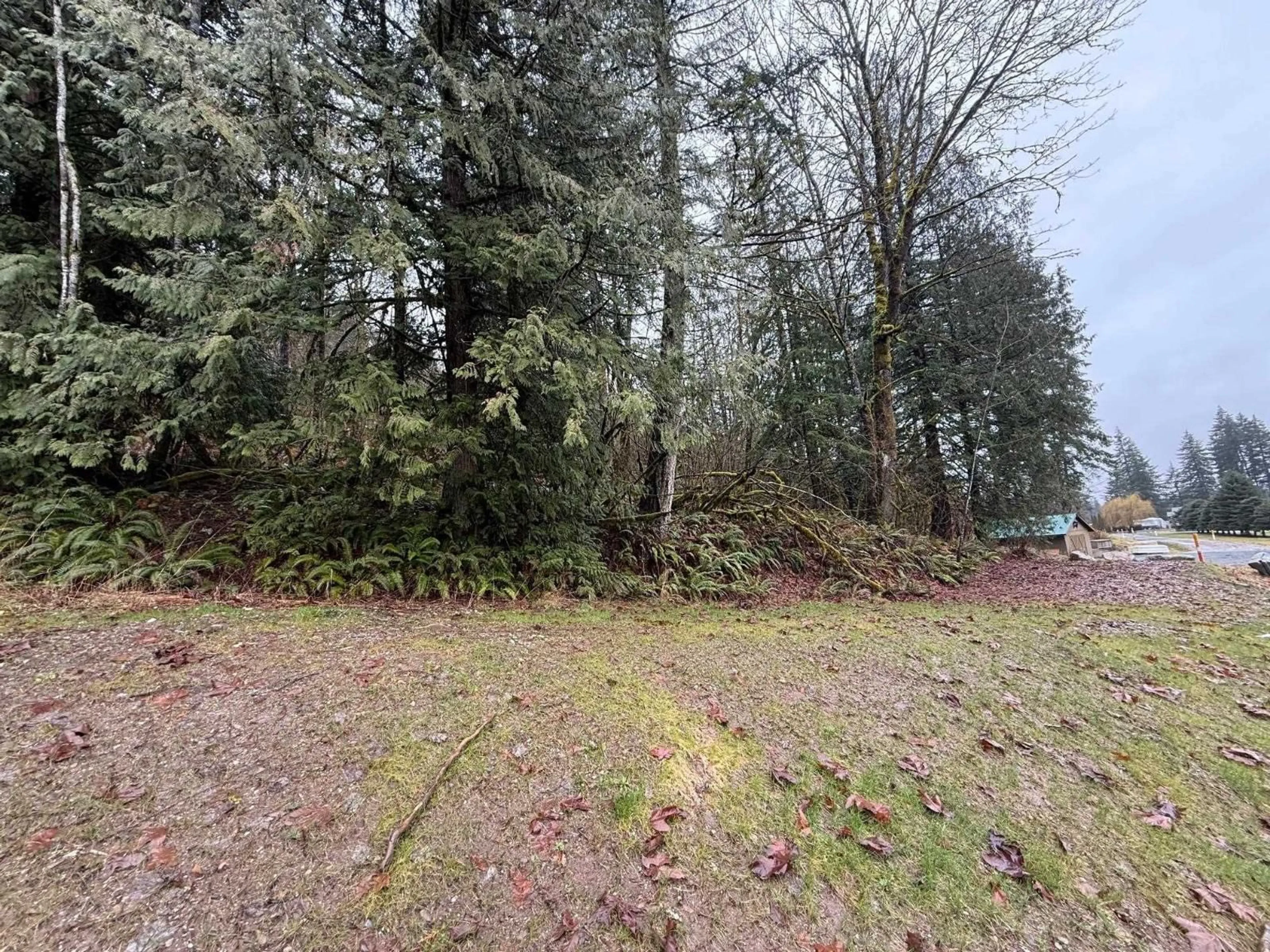 A pic from outside/outdoor area/front of a property/back of a property/a pic from drone, forest/trees view for 65936 KAWKAWA LAKE ROAD, Hope British Columbia V0X1L1