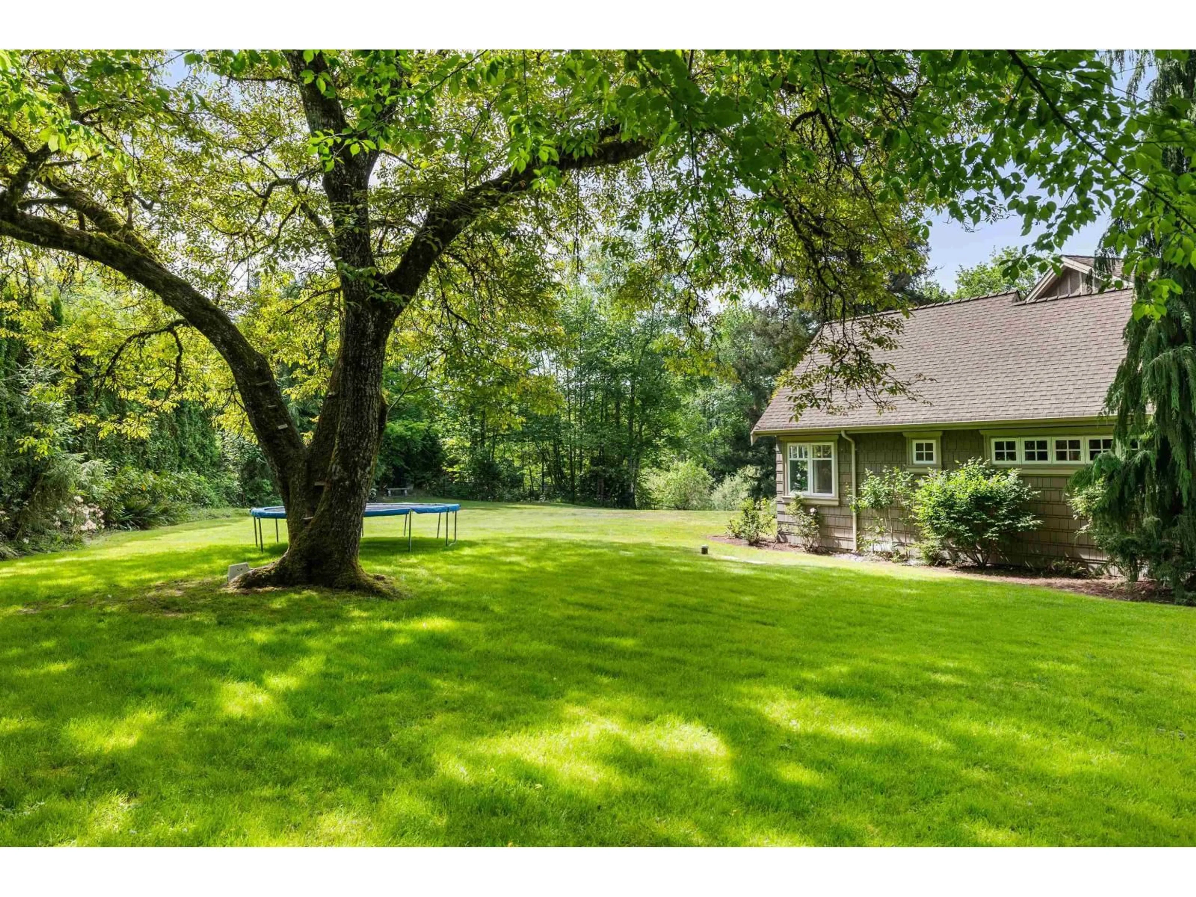 A pic from outside/outdoor area/front of a property/back of a property/a pic from drone, forest/trees view for 6435 267 STREET, Langley British Columbia V4W3L7