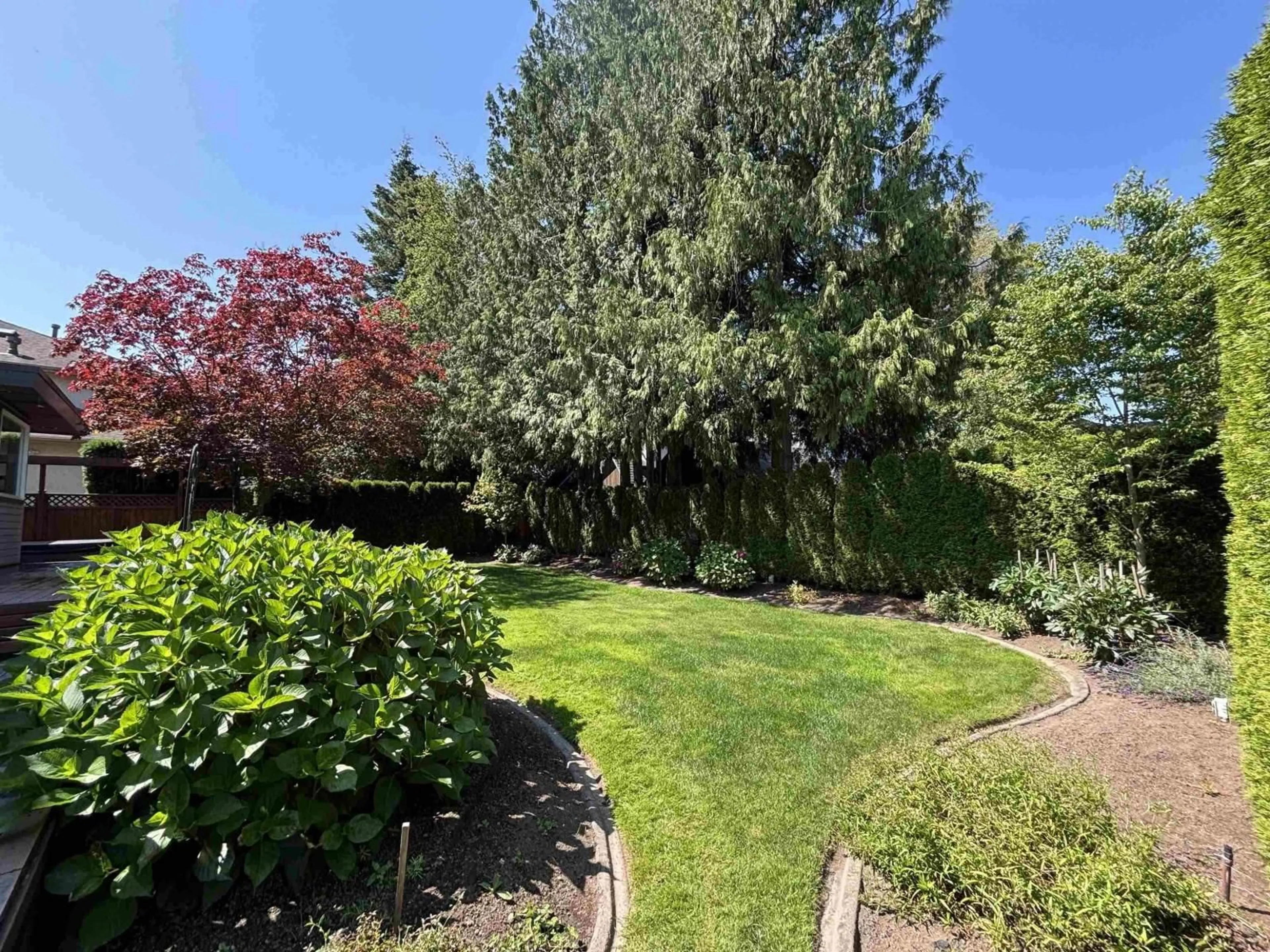 A pic from outside/outdoor area/front of a property/back of a property/a pic from drone, forest/trees view for 4577 217 STREET, Langley British Columbia V3A9B7