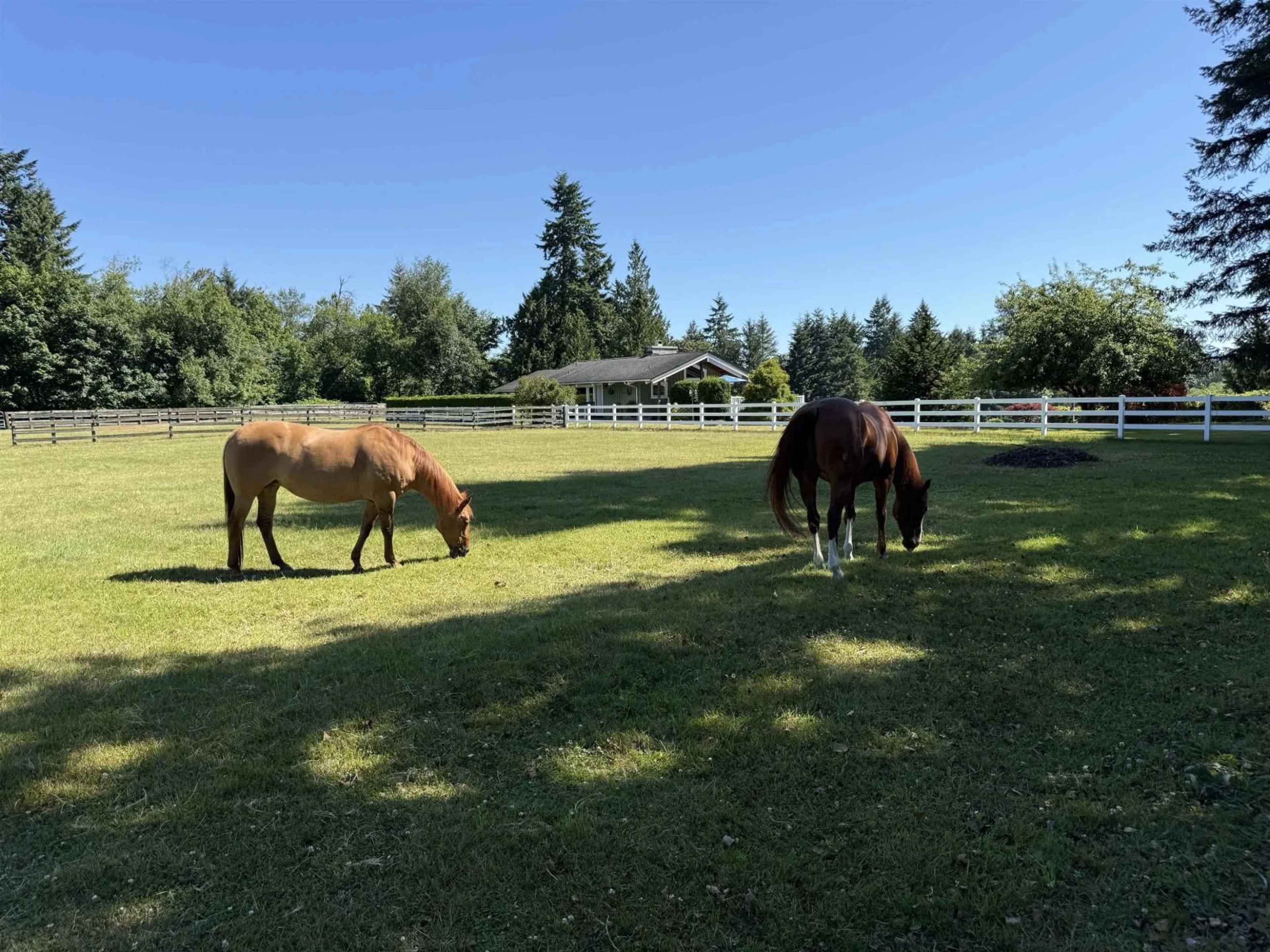 A pic from outside/outdoor area/front of a property/back of a property/a pic from drone, mountain view for 25177 64 AVENUE, Langley British Columbia V4W1H5