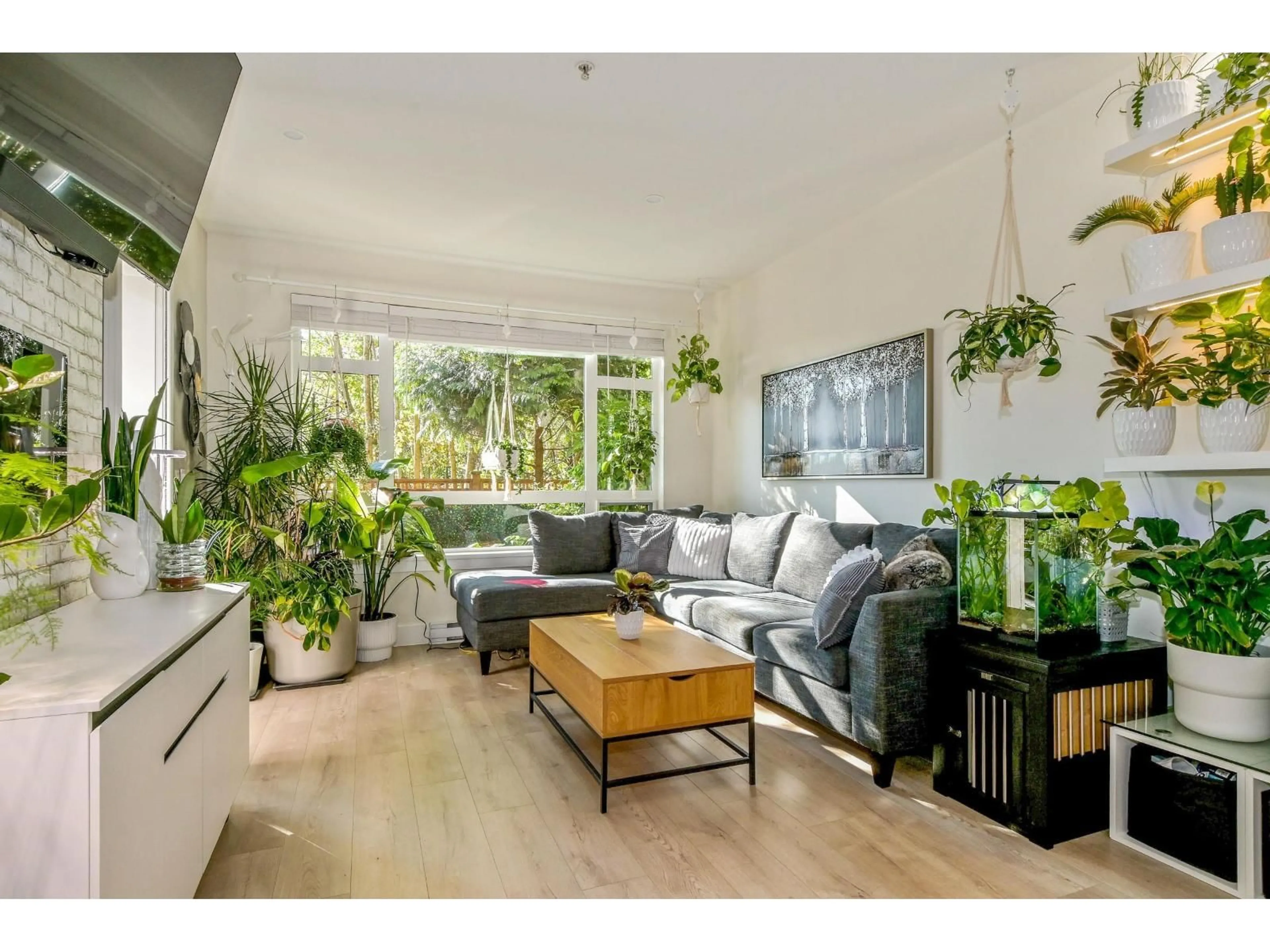 Living room with furniture, wood/laminate floor for C111 - 20211 66 AVENUE, Langley British Columbia V2Y0L4