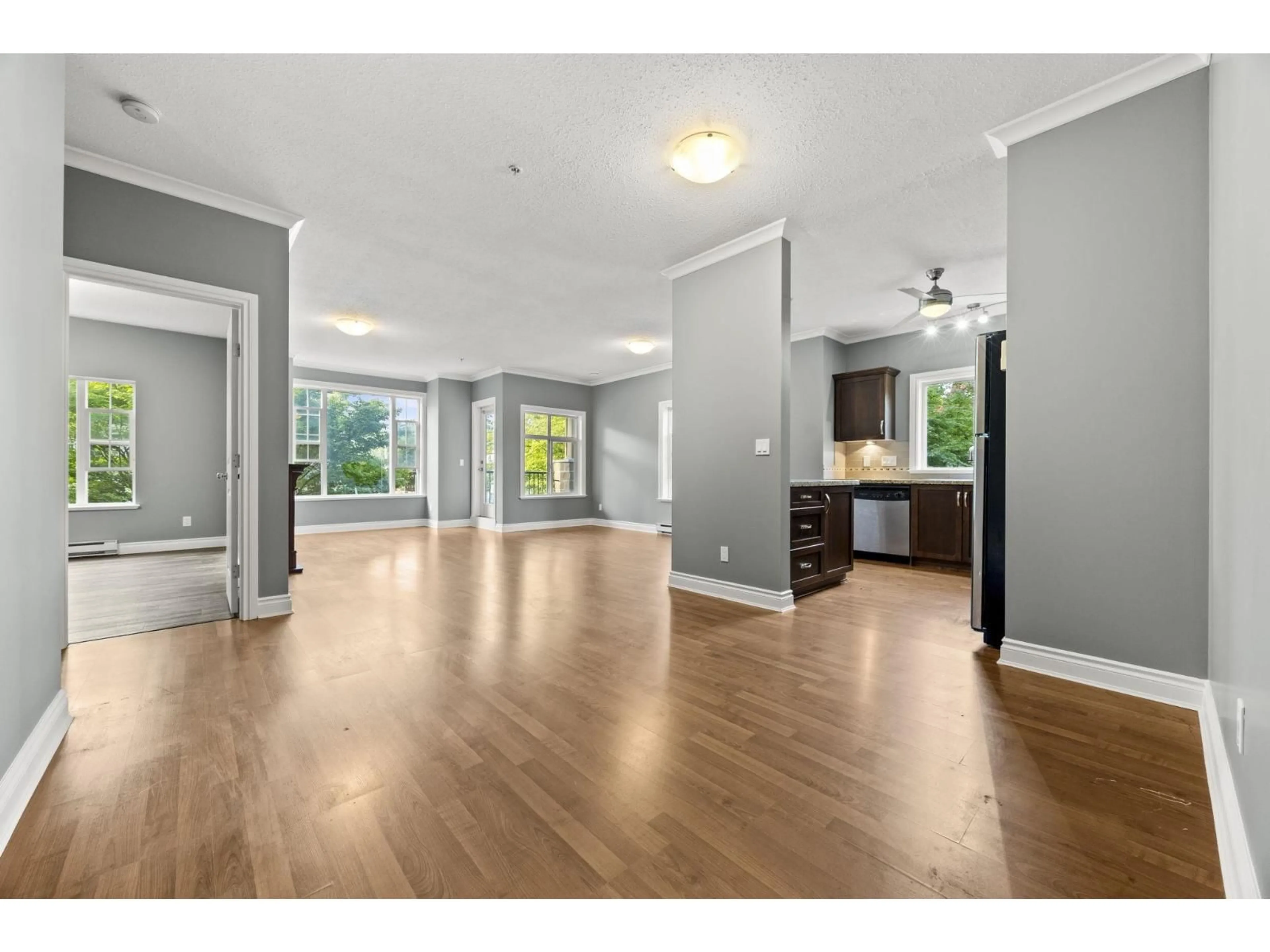 Open concept kitchen, wood/laminate floor for 201 - 20286 53A AVENUE, Langley British Columbia V3A0A8