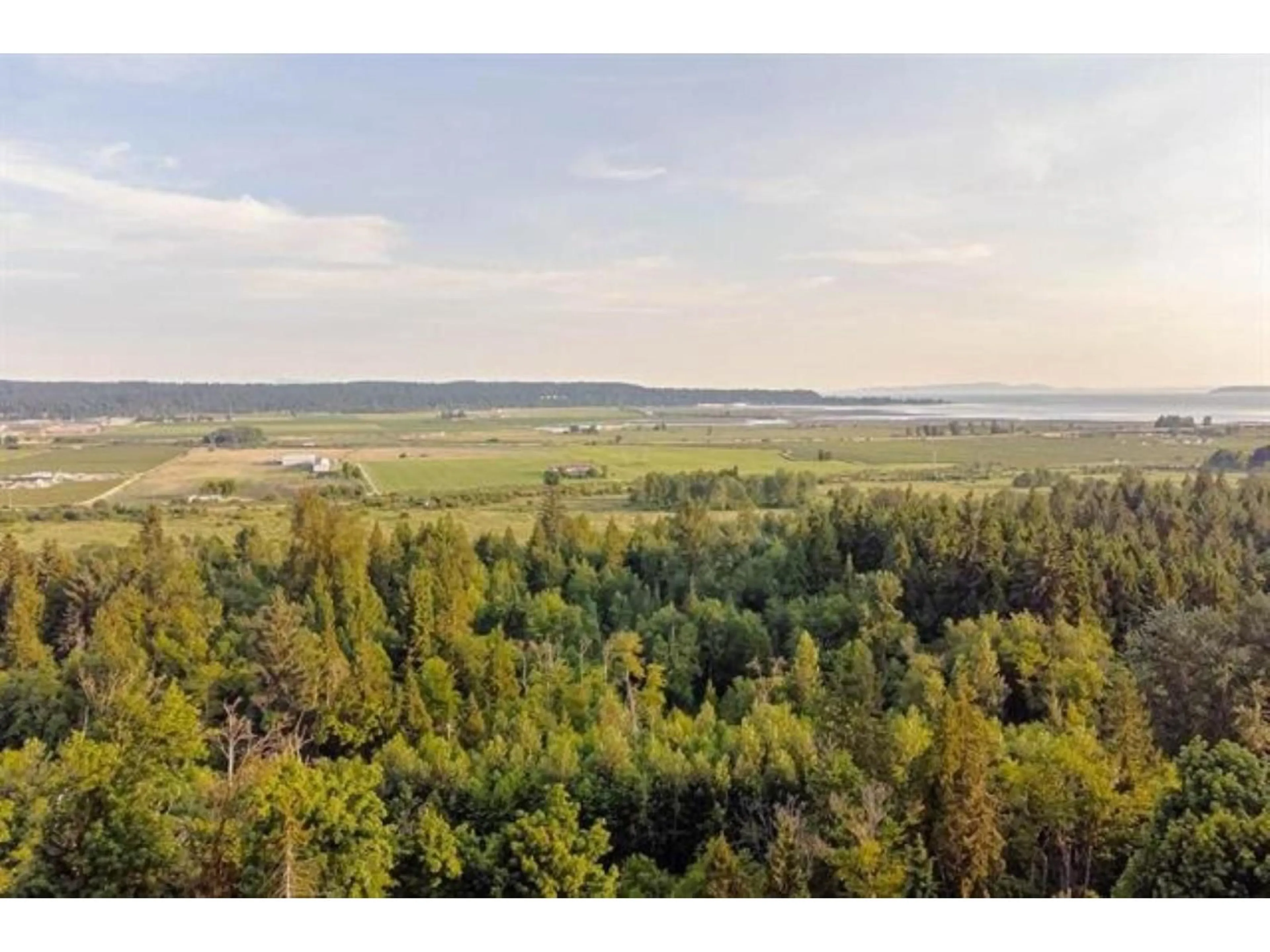 A pic from outside/outdoor area/front of a property/back of a property/a pic from drone, forest/trees view for 5579 136B STREET, Surrey British Columbia V3X3P2