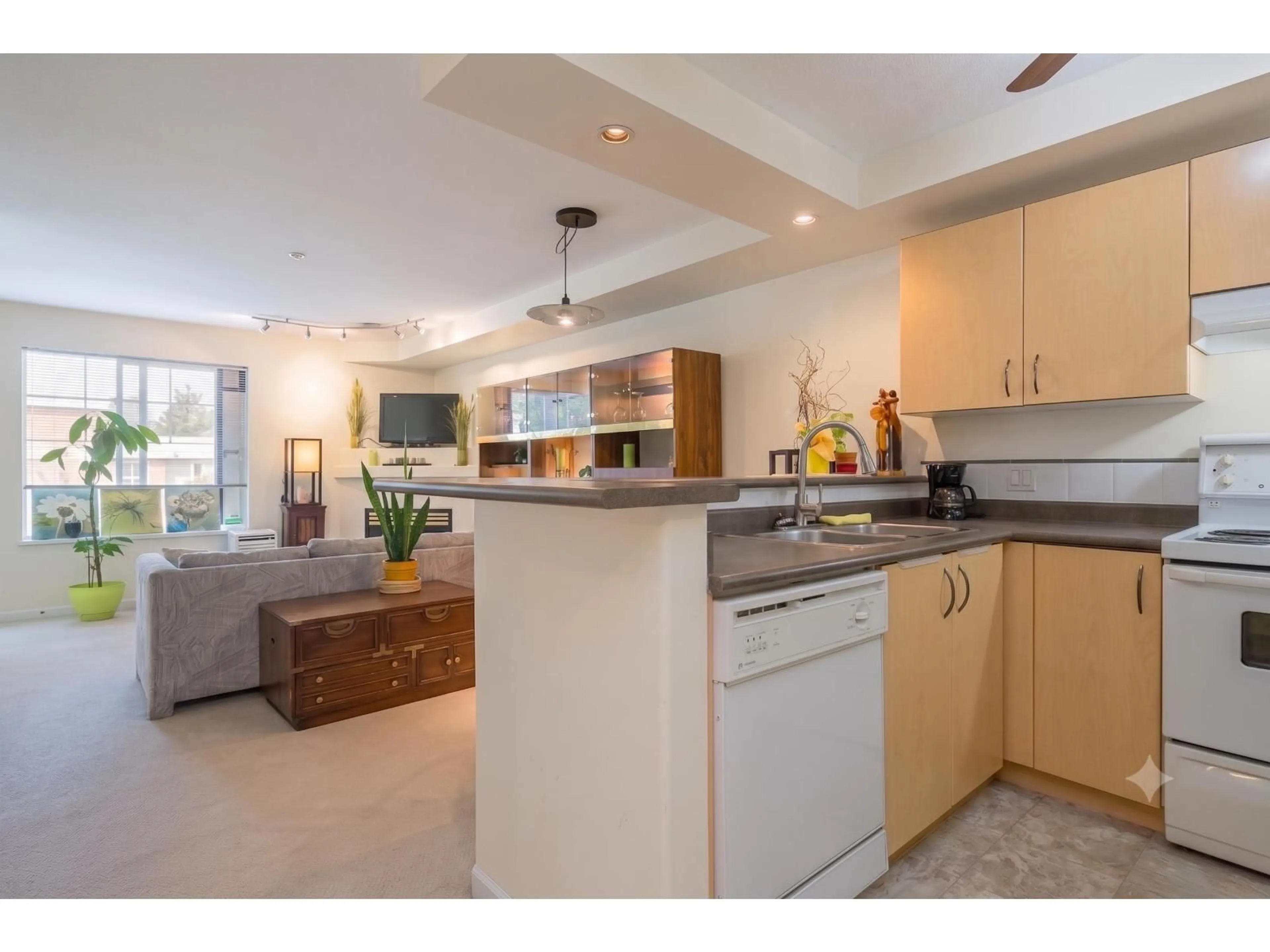 Standard kitchen, unknown for 303 - 20200 56 AVENUE, Langley British Columbia V3A8S1