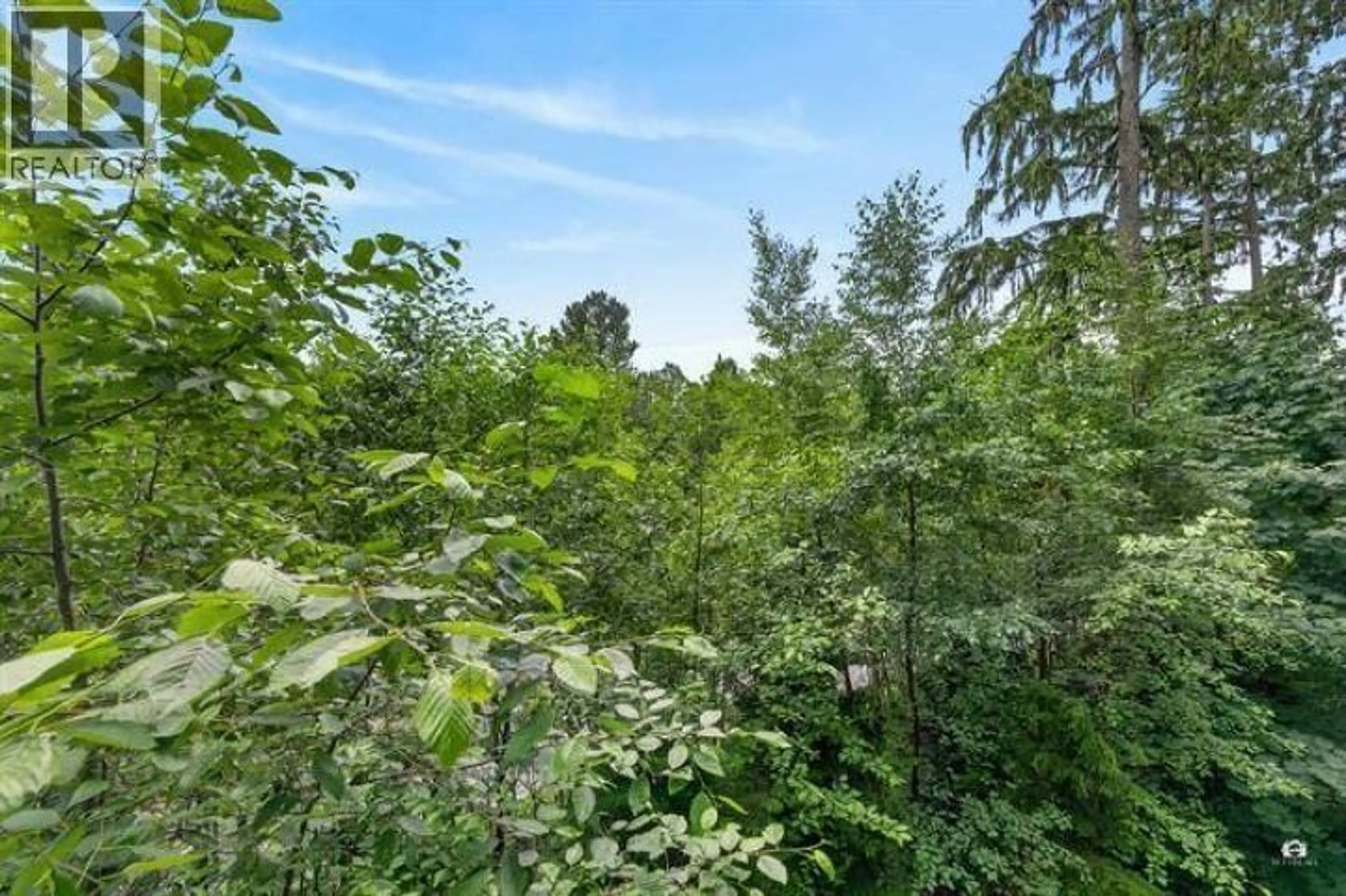 A pic from outside/outdoor area/front of a property/back of a property/a pic from drone, forest/trees view for 104 - 8940 UNIVERSITY CRESCENT, Burnaby British Columbia V5A0E7