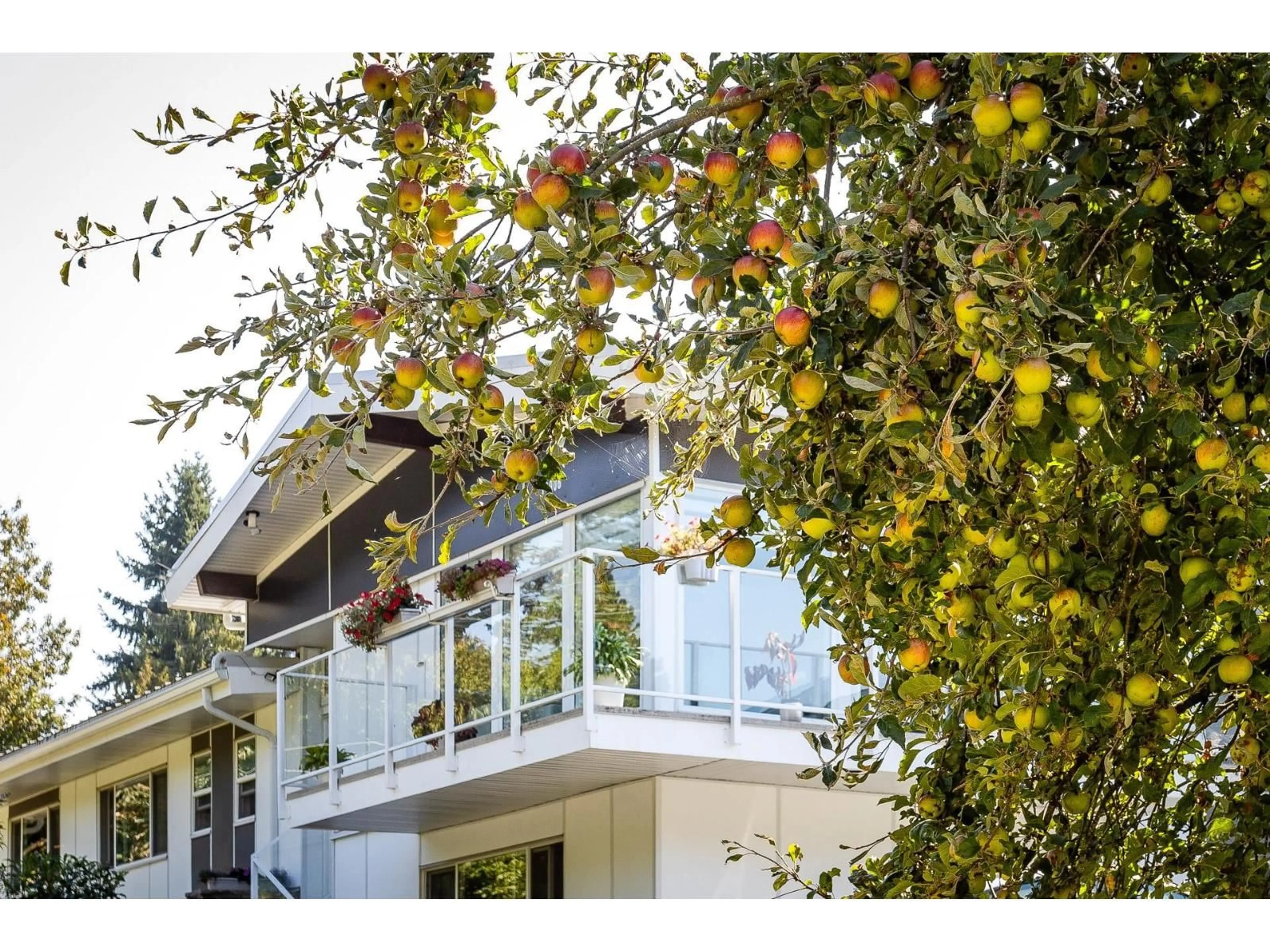 Unknown for 11906 100 AVENUE, Surrey British Columbia V3V2W1
