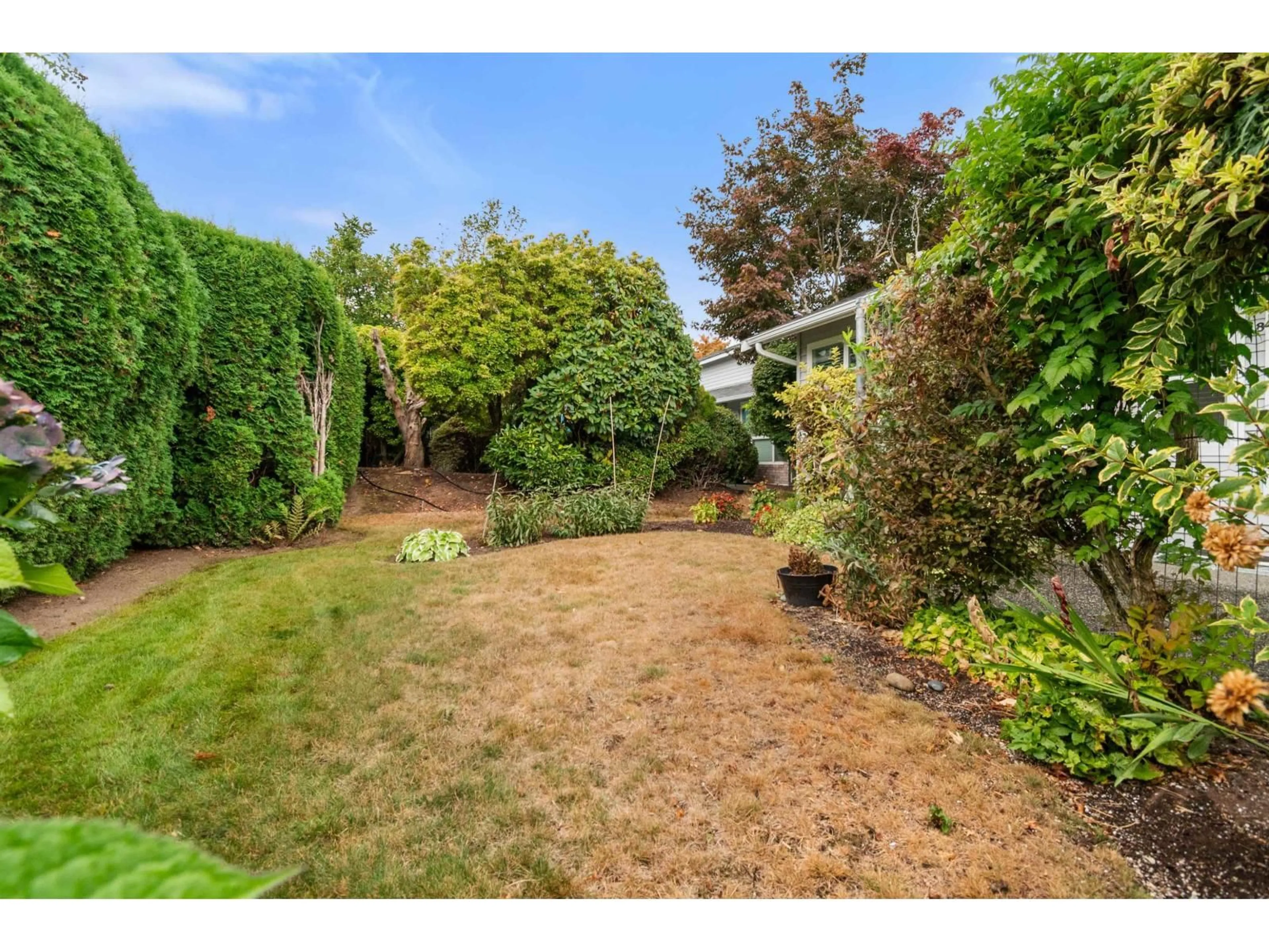 A pic from outside/outdoor area/front of a property/back of a property/a pic from drone, street for 28 - 2989 TRAFALGAR STREET, Abbotsford British Columbia V2S7X9