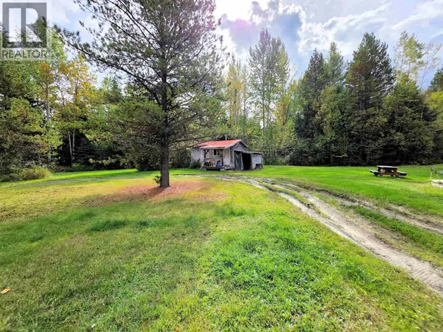 4135 16 HIGHWAY, Dome Creek 5