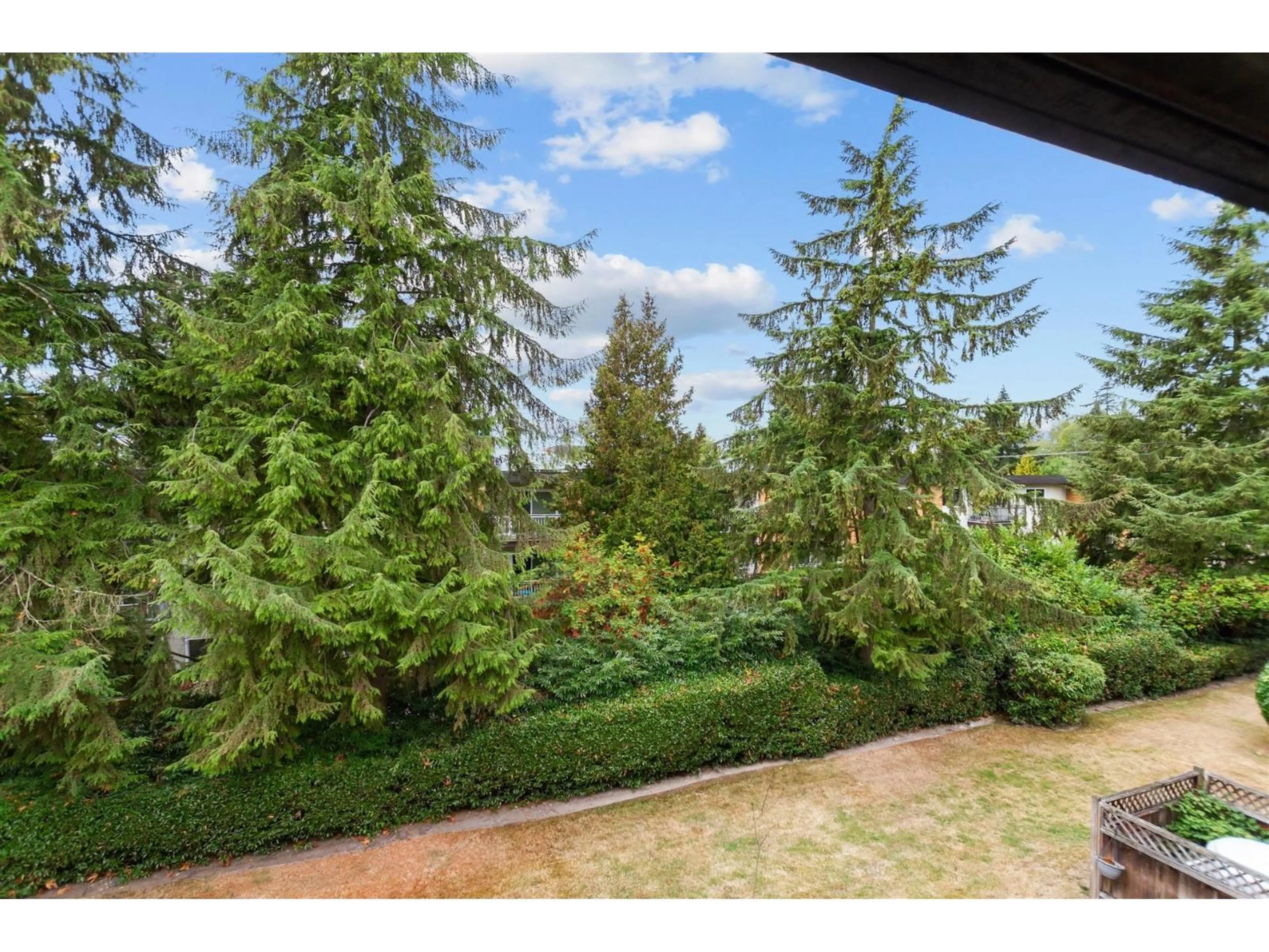 Patio, forest/trees view for 301 - 1561 VIDAL STREET, White Rock British Columbia V4B5A7