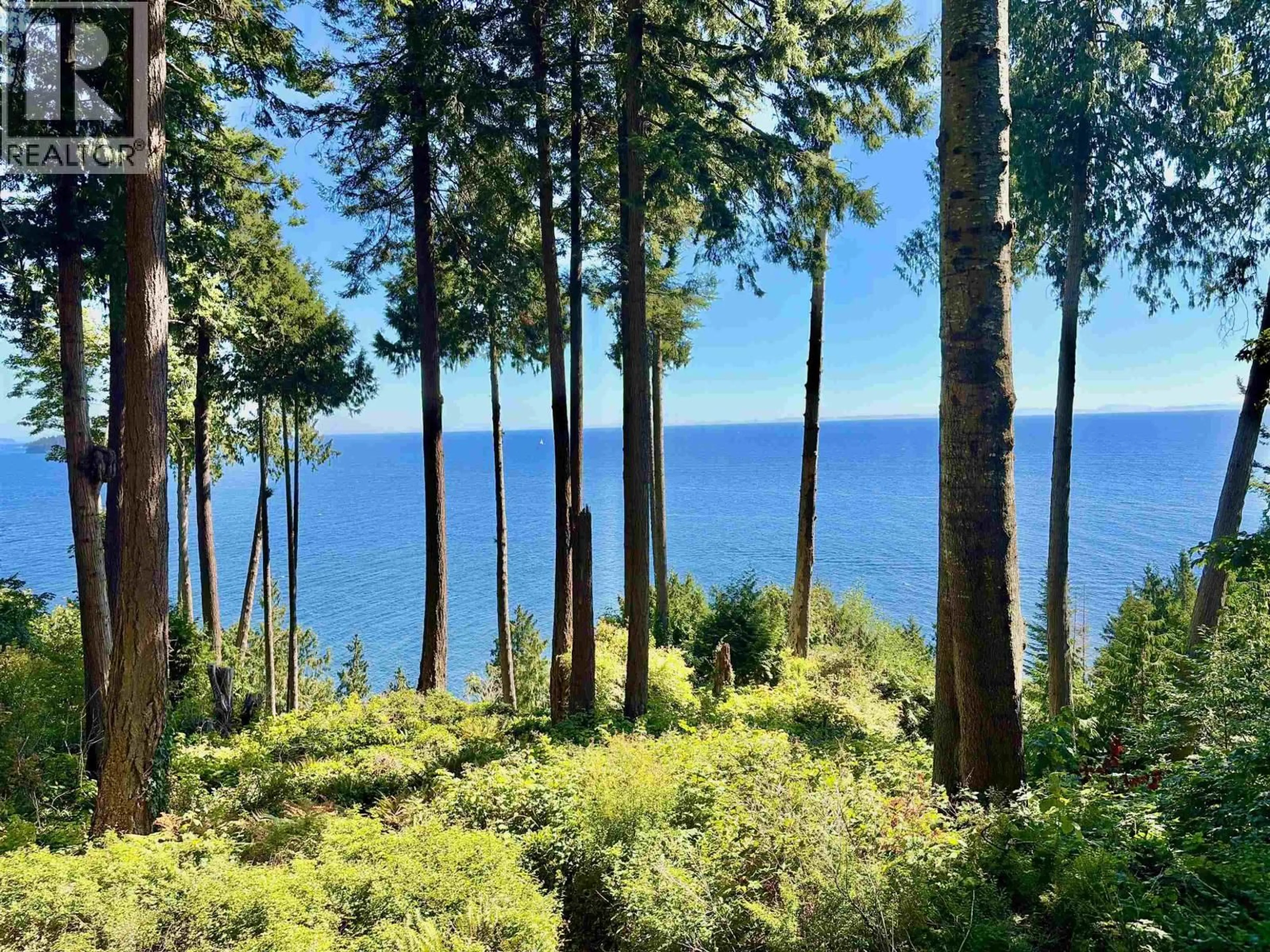 A pic from outside/outdoor area/front of a property/back of a property/a pic from drone, forest/trees view for 61/Lot3 LARSON ROAD, Gibsons British Columbia V0N1V3