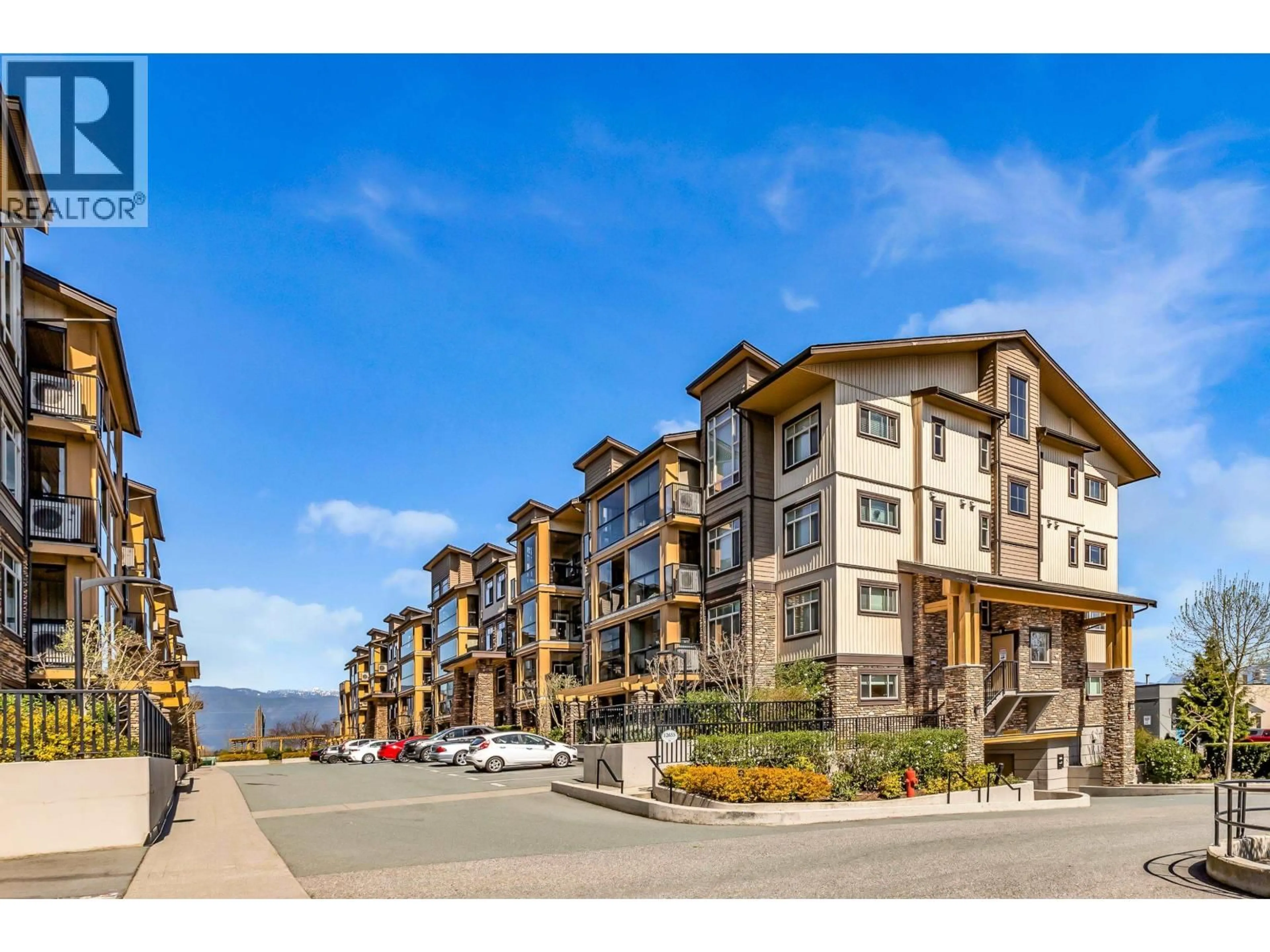 A pic from outside/outdoor area/front of a property/back of a property/a pic from drone, mountain view for 106 - 12655 190A STREET, Pitt Meadows British Columbia V3Y0E9