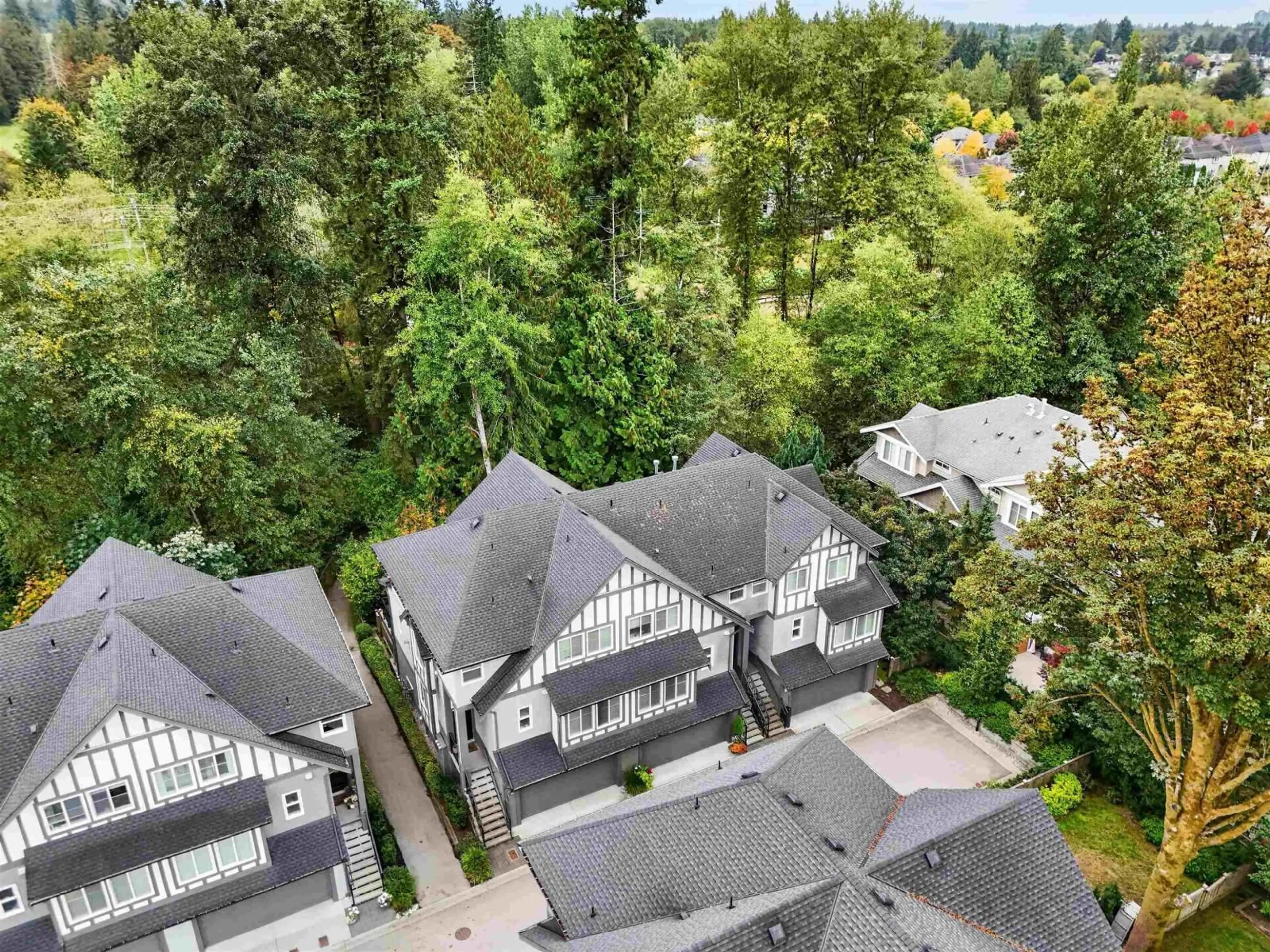 A pic from outside/outdoor area/front of a property/back of a property/a pic from drone, unknown for 10 - 9567 217A STREET, Langley British Columbia V1M0G5