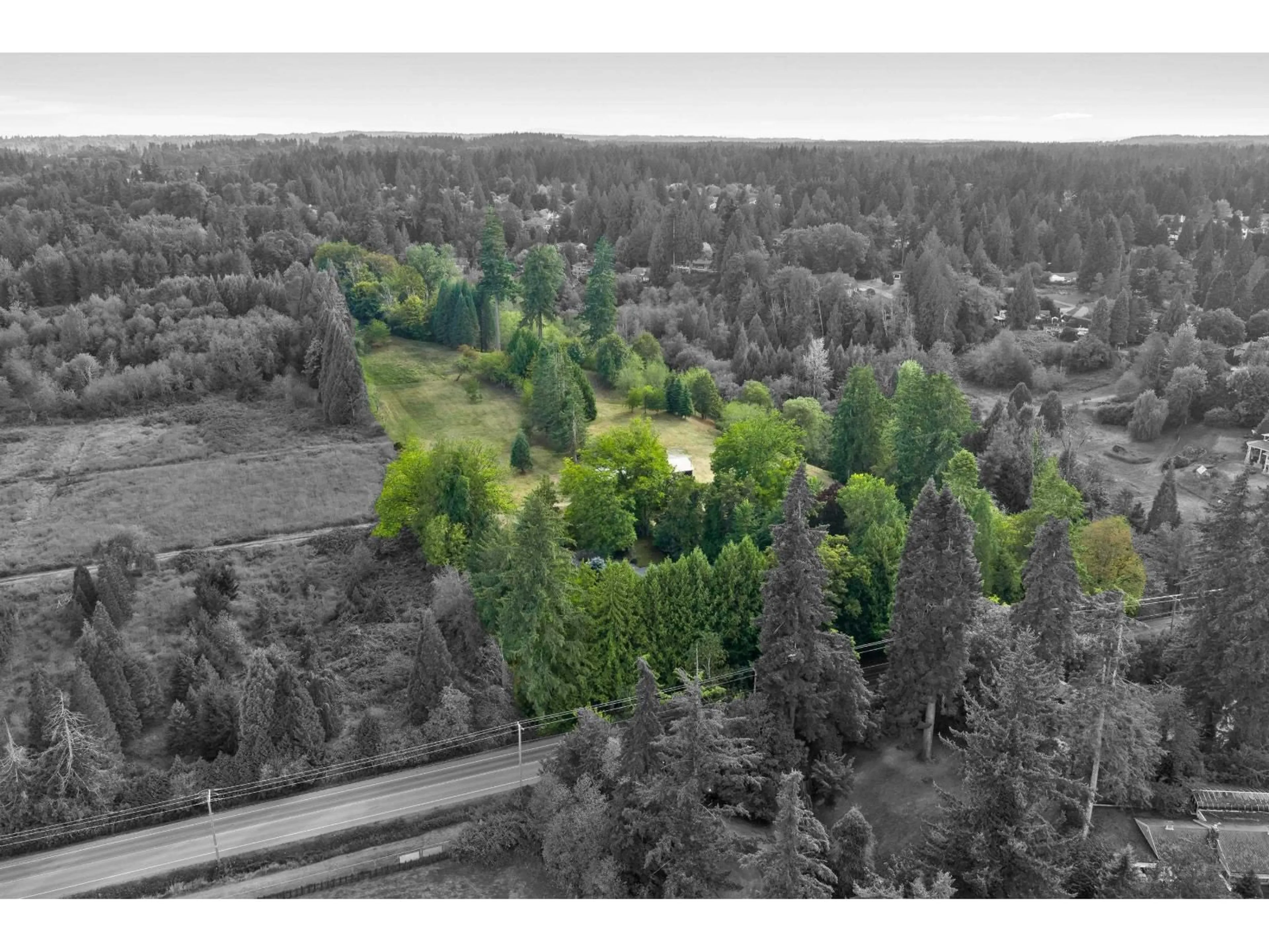 A pic from outside/outdoor area/front of a property/back of a property/a pic from drone, forest/trees view for 21180 48 AVENUE, Langley British Columbia V3A3M2