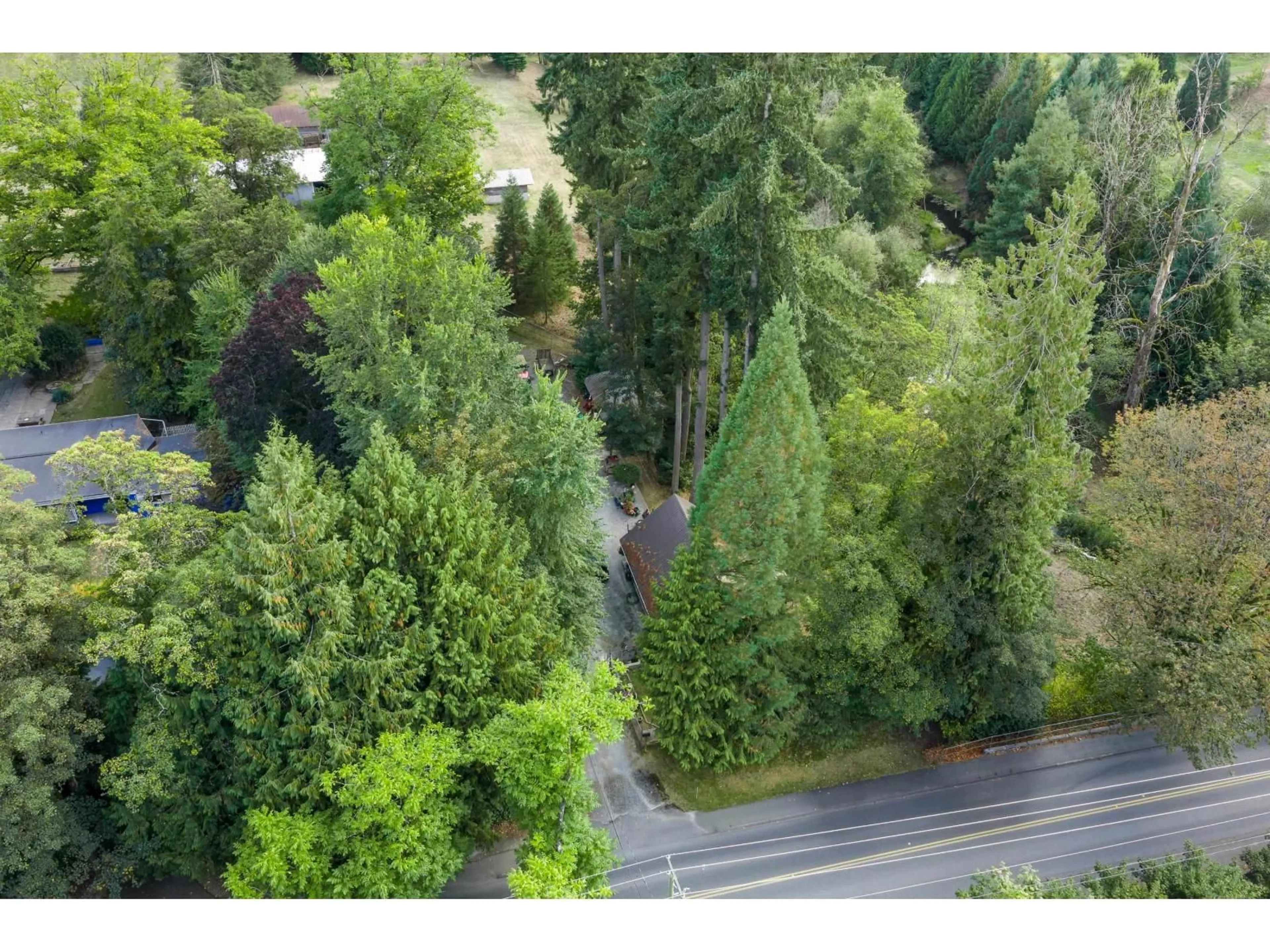 A pic from outside/outdoor area/front of a property/back of a property/a pic from drone, forest/trees view for 21180 48 AVENUE, Langley British Columbia V3A3M2