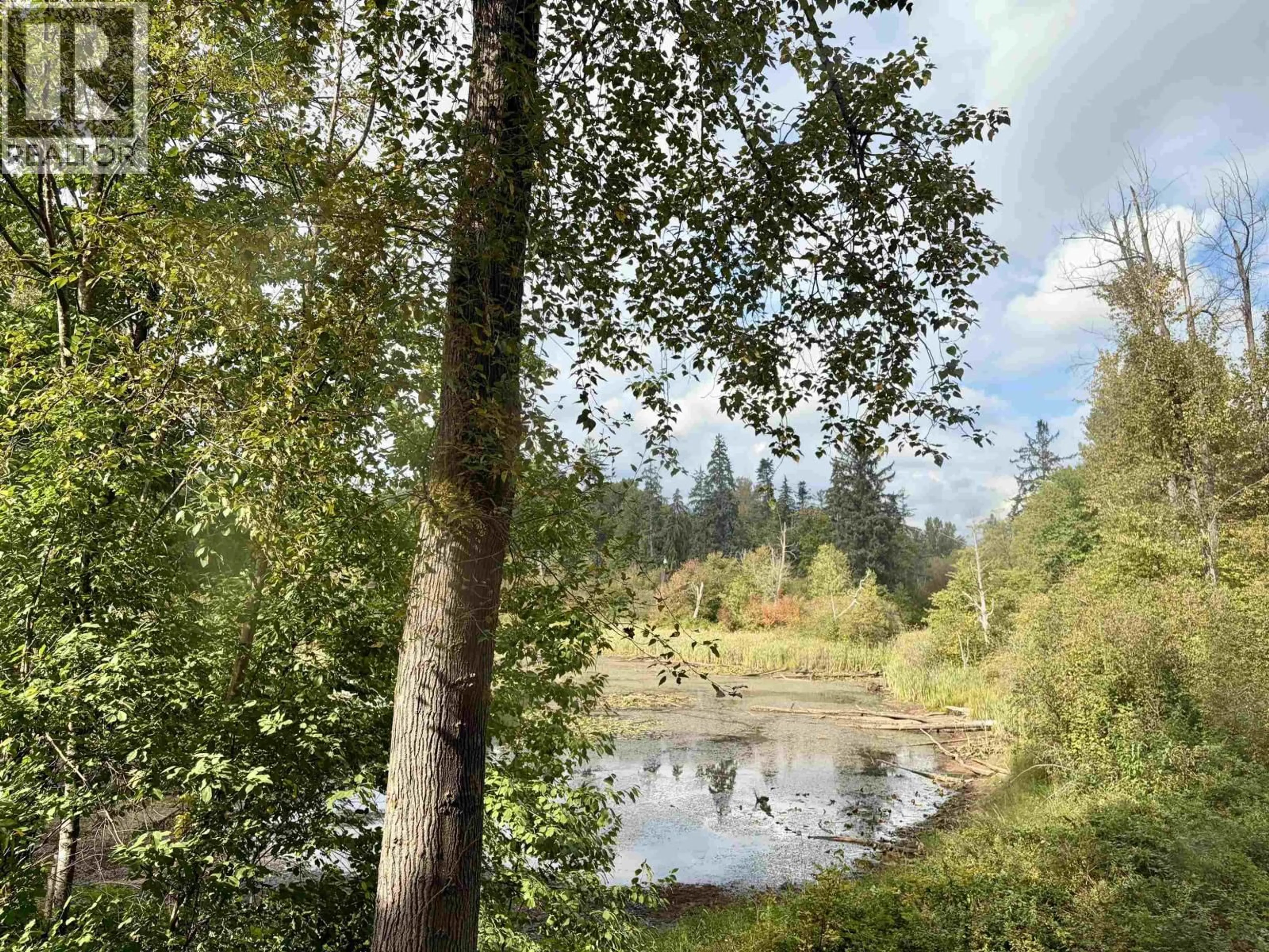 Blurry image for 217 - 2551 PARVIEW LANE, Port Coquitlam British Columbia V3C6J8