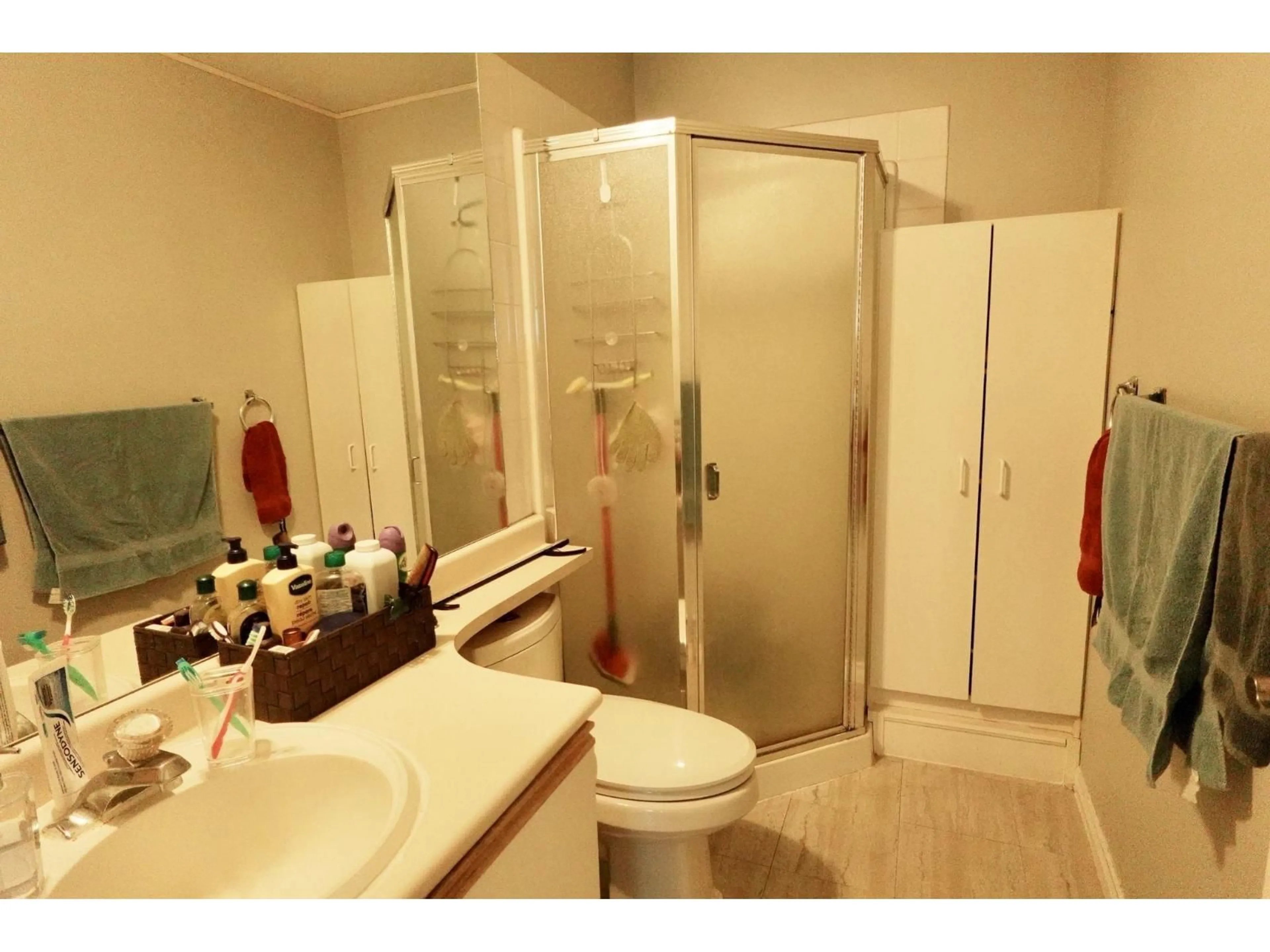 Standard bathroom, unknown for 313 - 10756 138 STREET, Surrey British Columbia V3T4K5