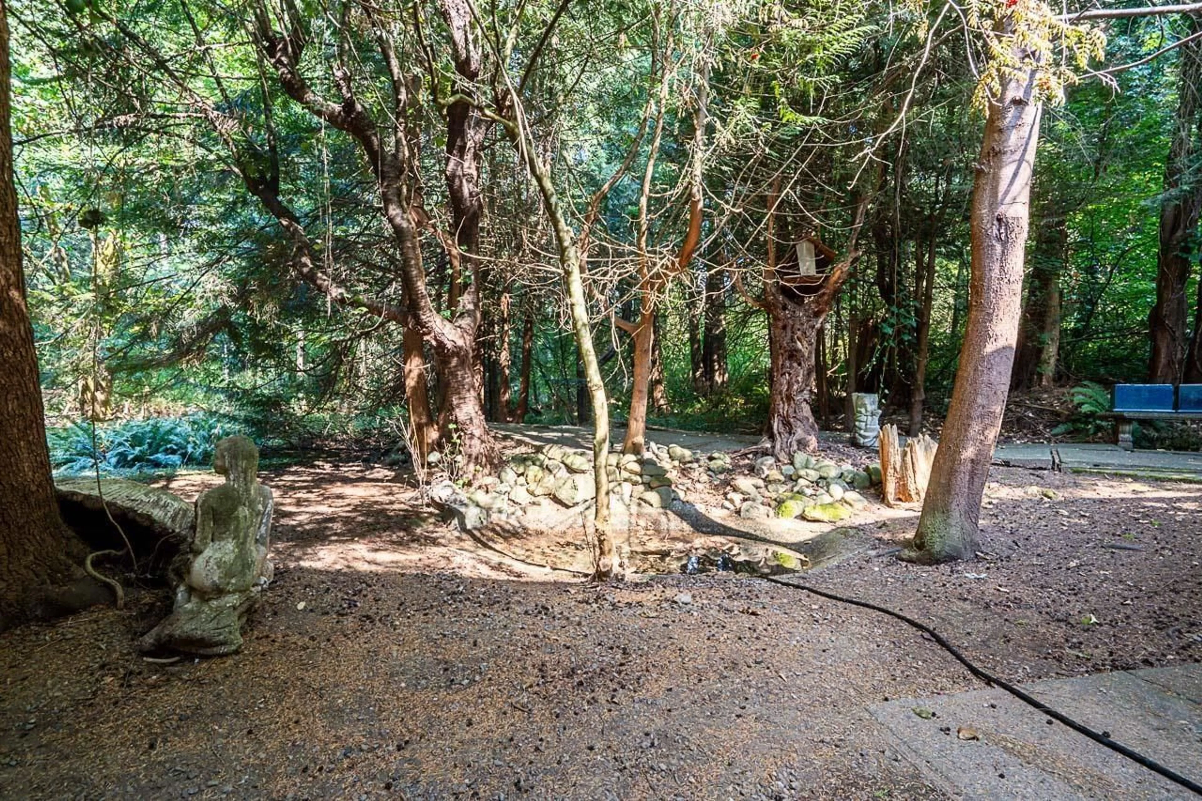 A pic from outside/outdoor area/front of a property/back of a property/a pic from drone, forest/trees view for 3530 142A STREET, Surrey British Columbia V4P1M3
