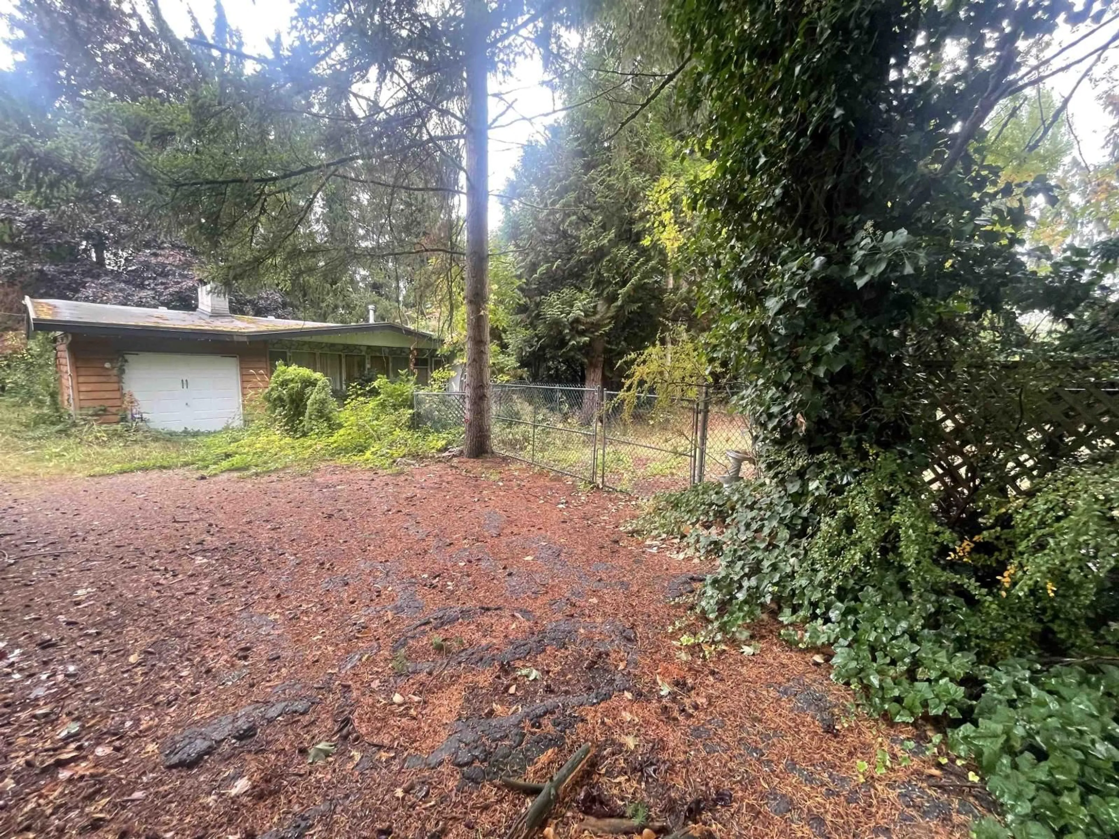 A pic from outside/outdoor area/front of a property/back of a property/a pic from drone, forest/trees view for 21409 51B AVENUE, Langley British Columbia V3A5B8