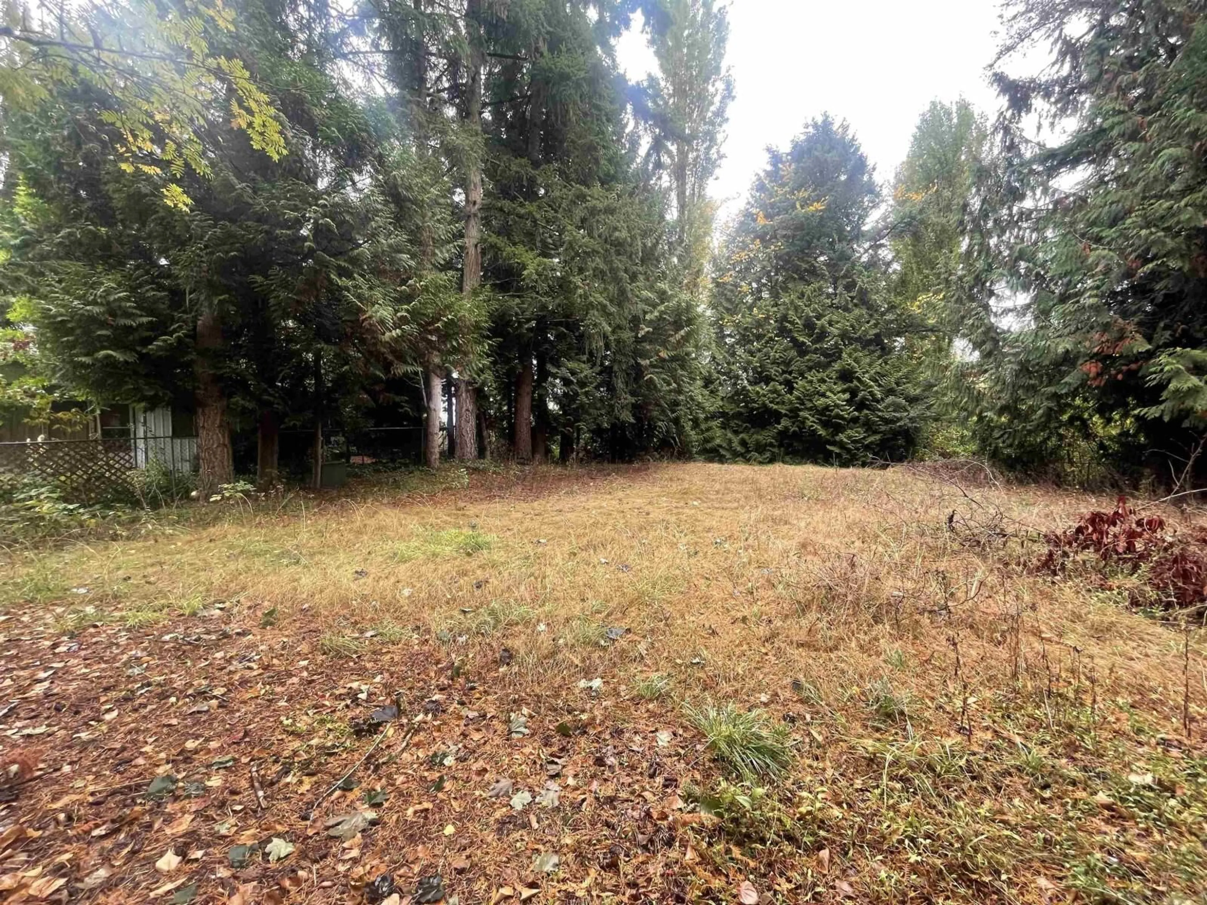 A pic from outside/outdoor area/front of a property/back of a property/a pic from drone, forest/trees view for 21409 51B AVENUE, Langley British Columbia V3A5B8