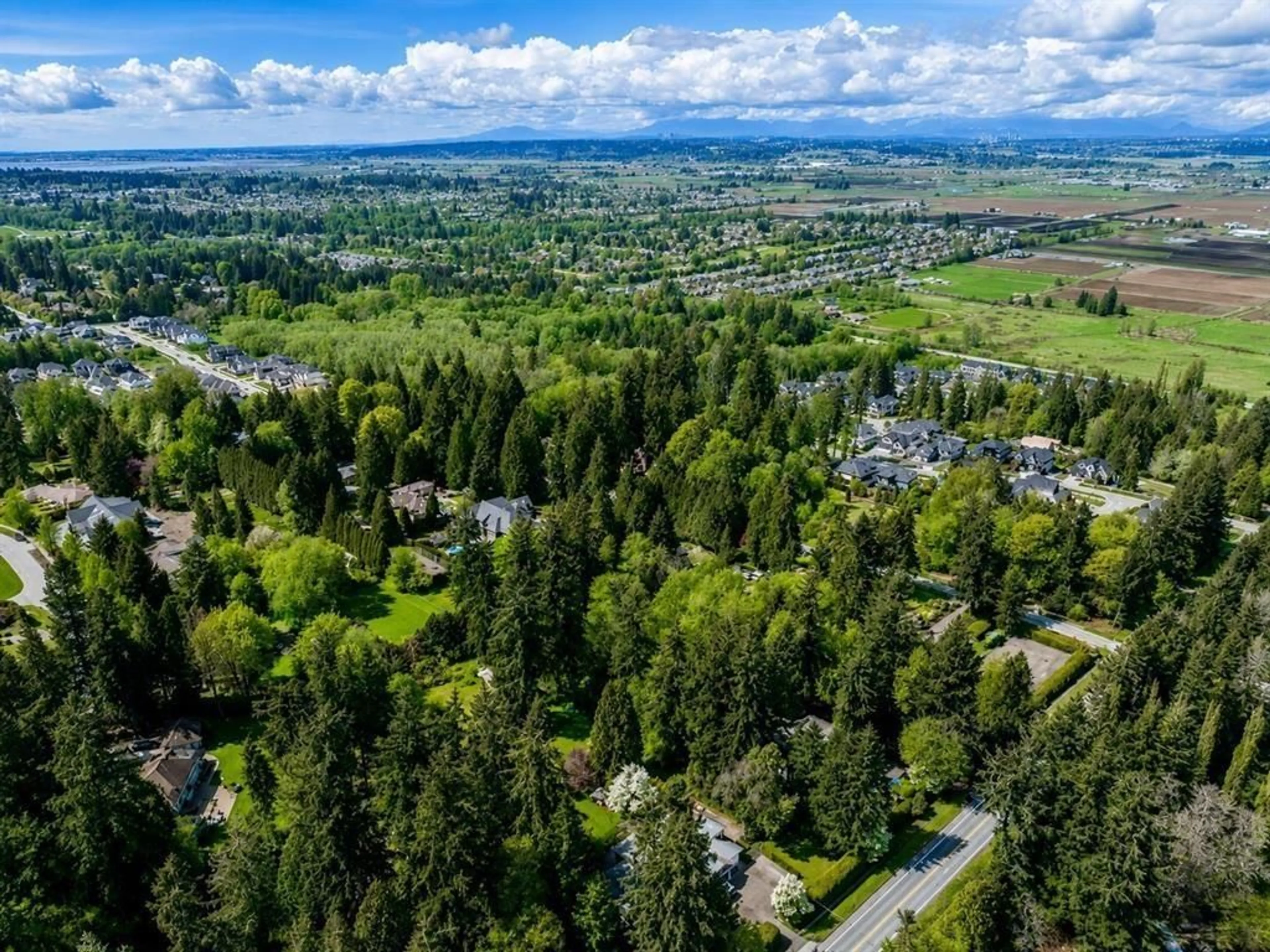 A pic from outside/outdoor area/front of a property/back of a property/a pic from drone, forest/trees view for 2875 168 STREET, Surrey British Columbia V3Z0A7