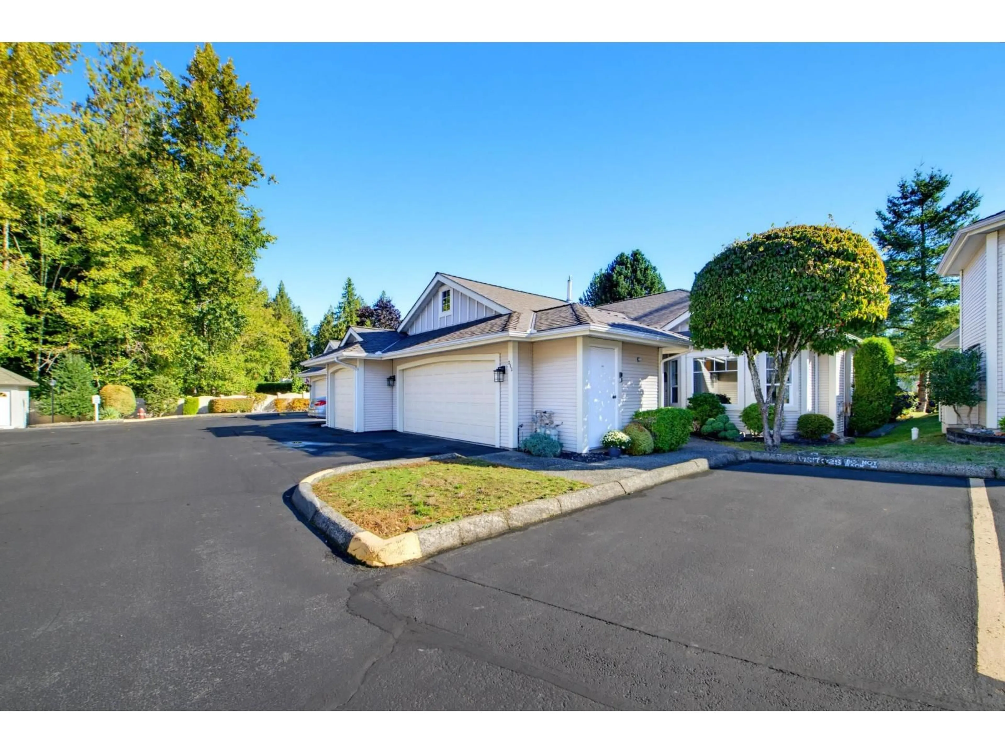 A pic from outside/outdoor area/front of a property/back of a property/a pic from drone, street for 215 - 20655 88 AVENUE, Langley British Columbia V1M2M5
