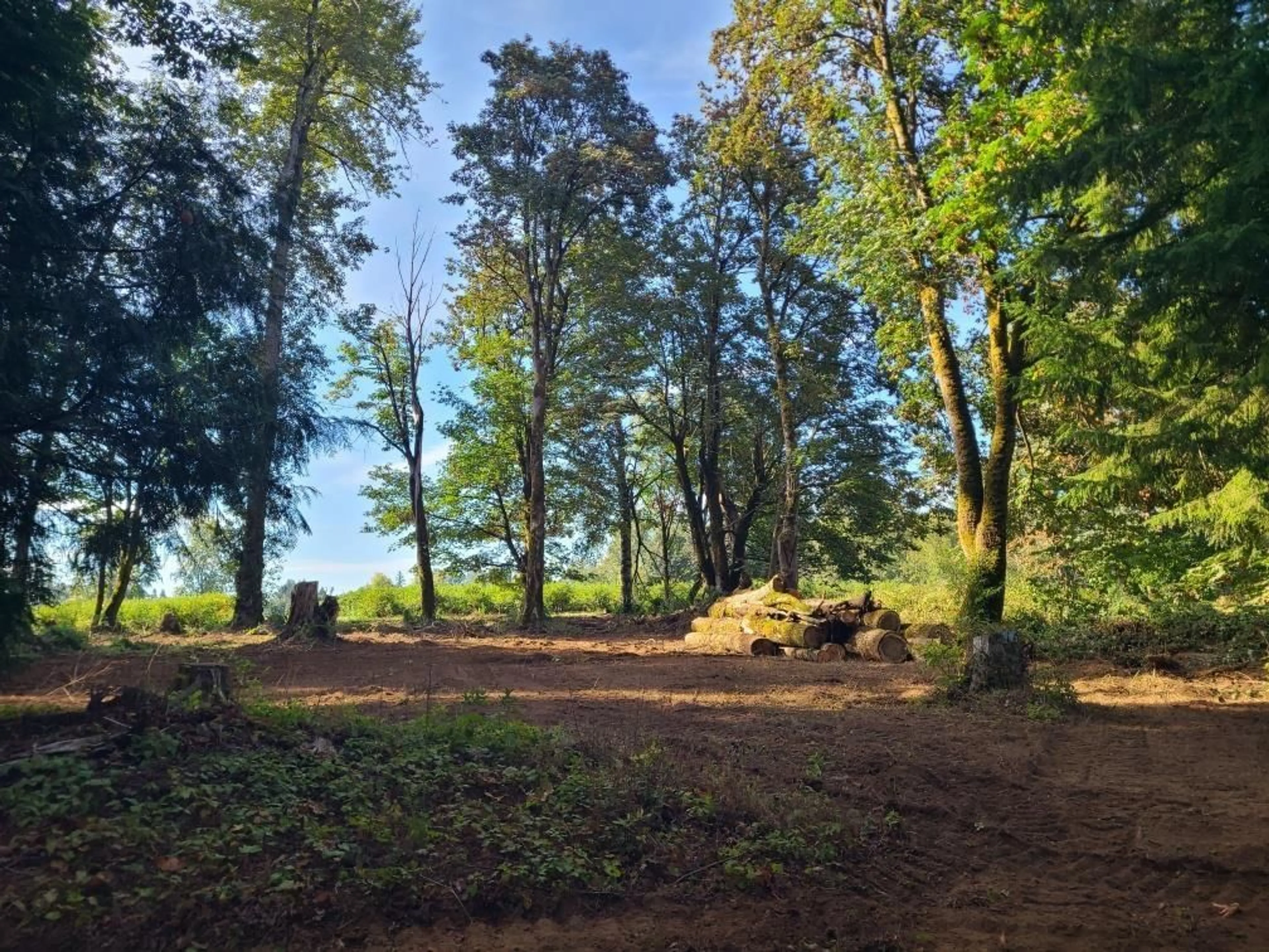 A pic from outside/outdoor area/front of a property/back of a property/a pic from drone, forest/trees view for 33456 CLAYBURN ROAD, Abbotsford British Columbia V2S7T8