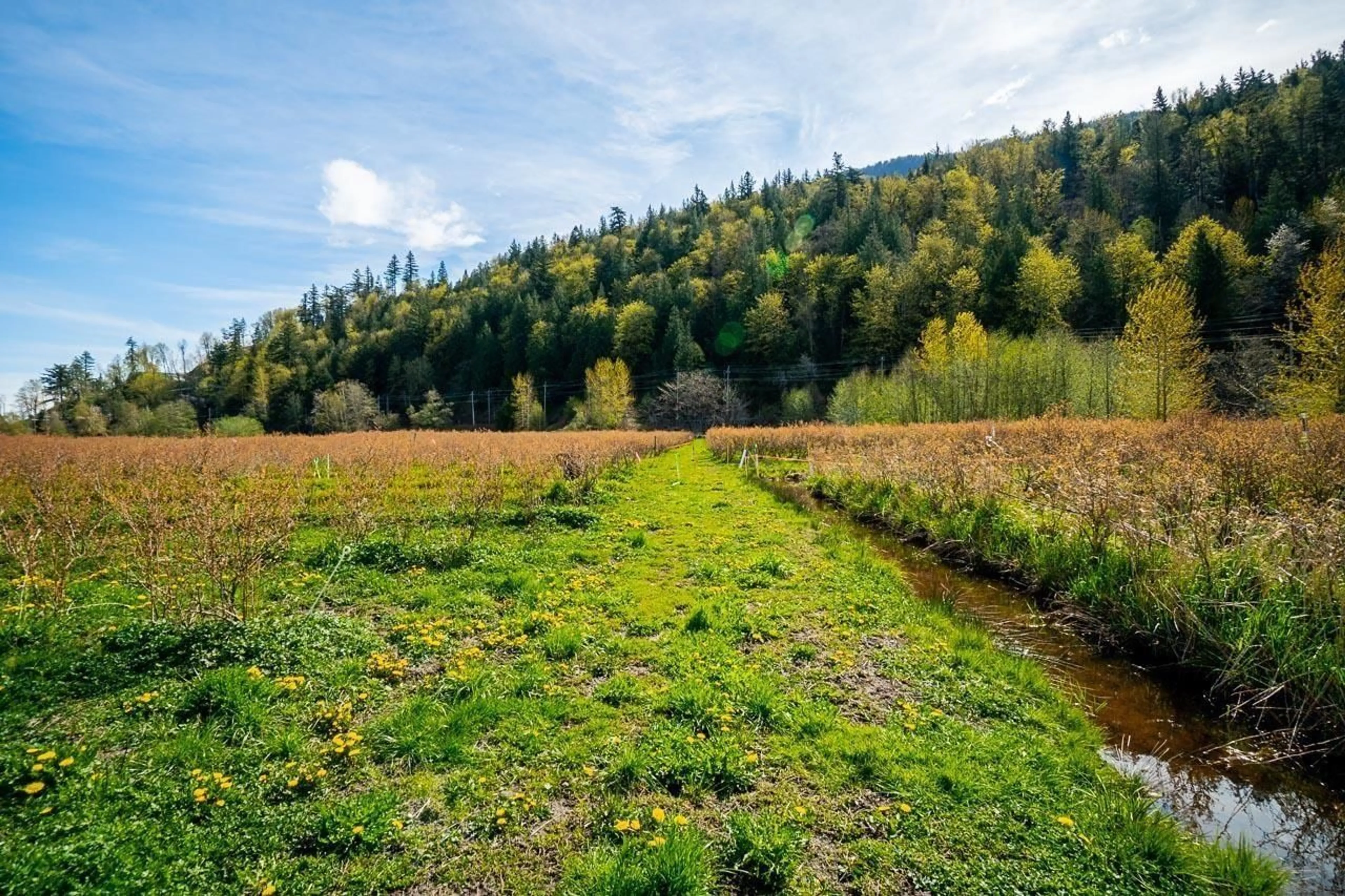 Unknown for 4214 WILSON ROAD, Yarrow British Columbia V2R5H4