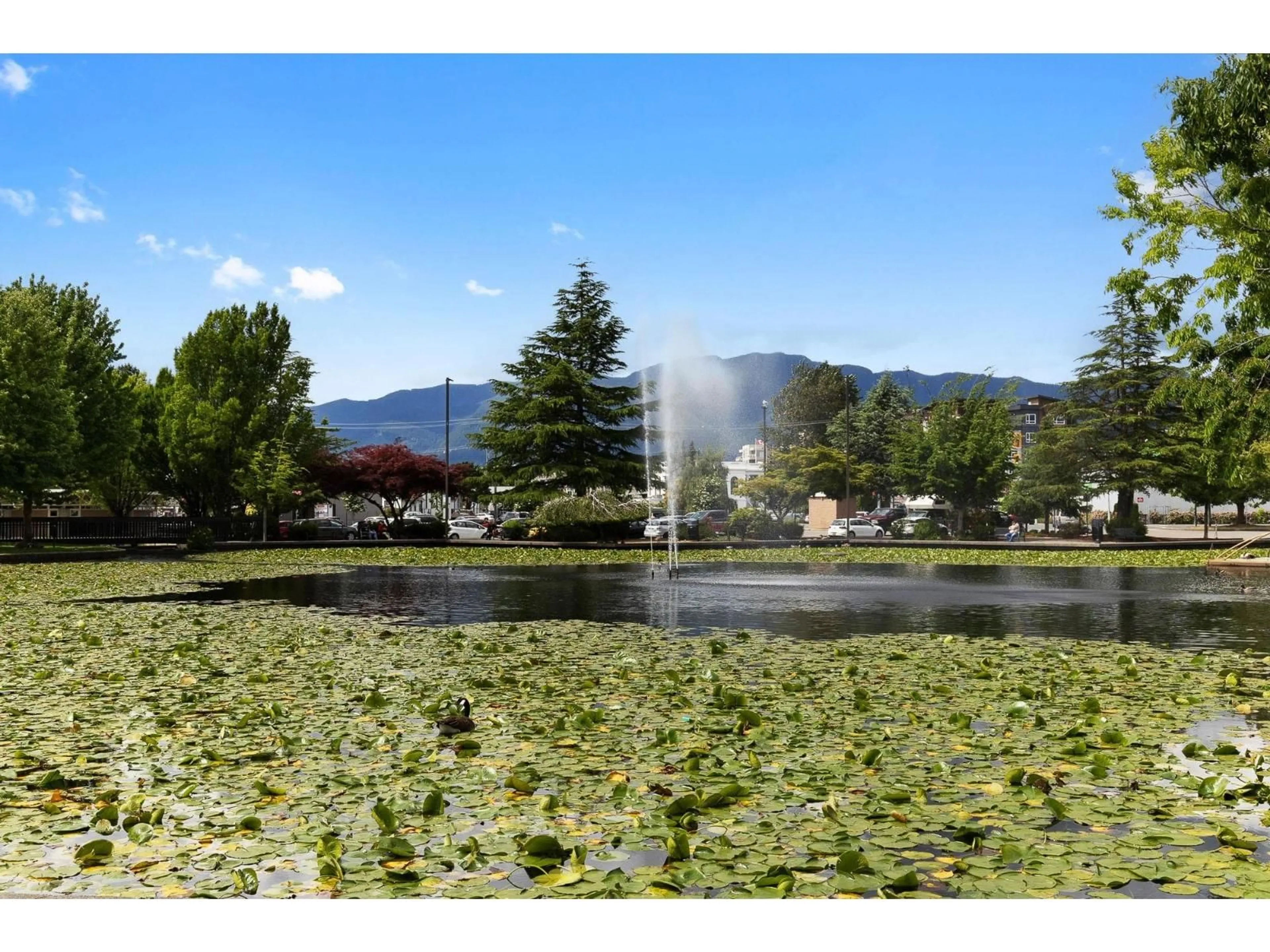 Blurry image for 6 - 45915 CHEAM AVENUE, Chilliwack British Columbia V2P1N7