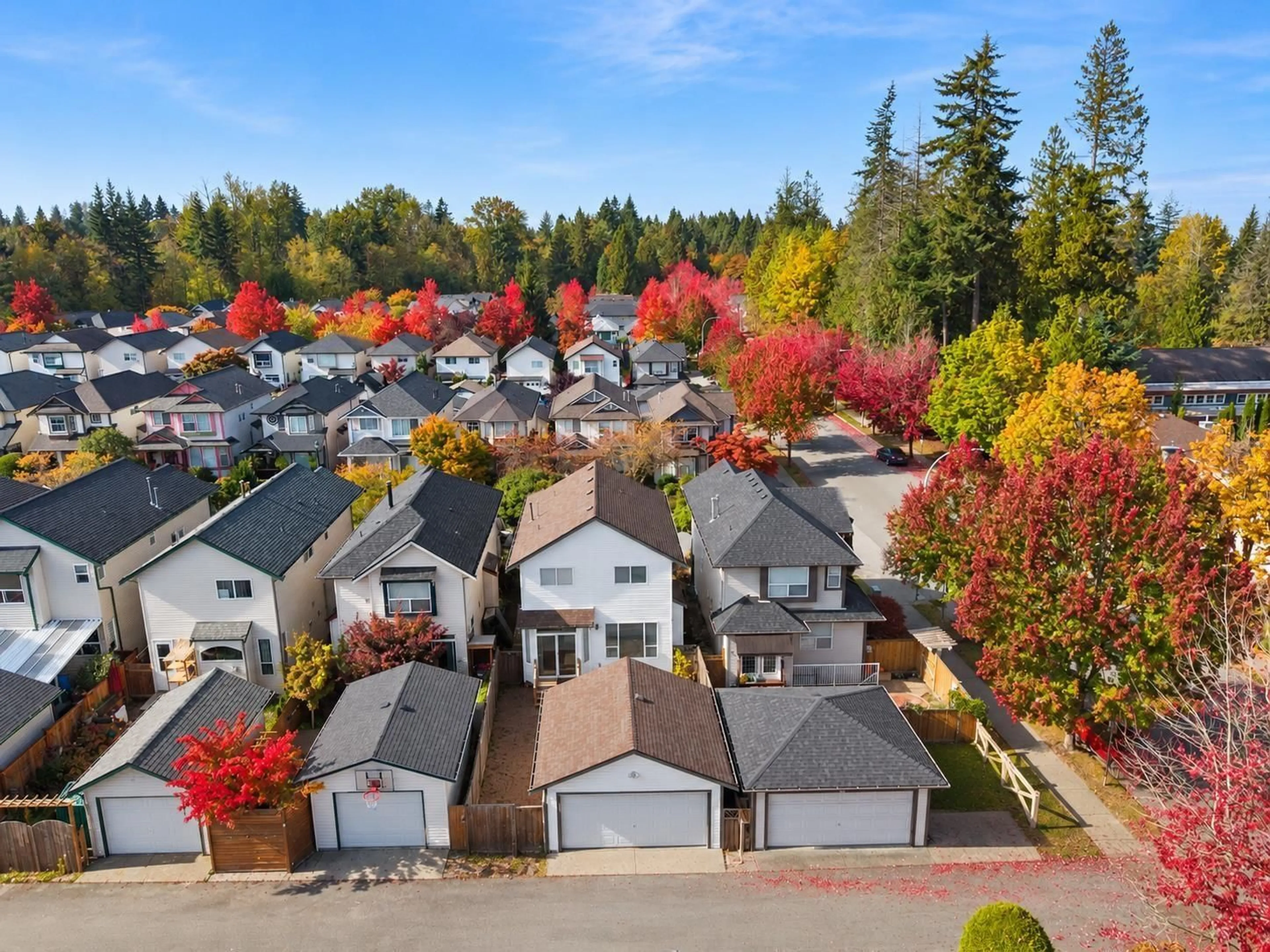 A pic from outside/outdoor area/front of a property/back of a property/a pic from drone, street for 8692 207 STREET, Langley British Columbia V1M3X4