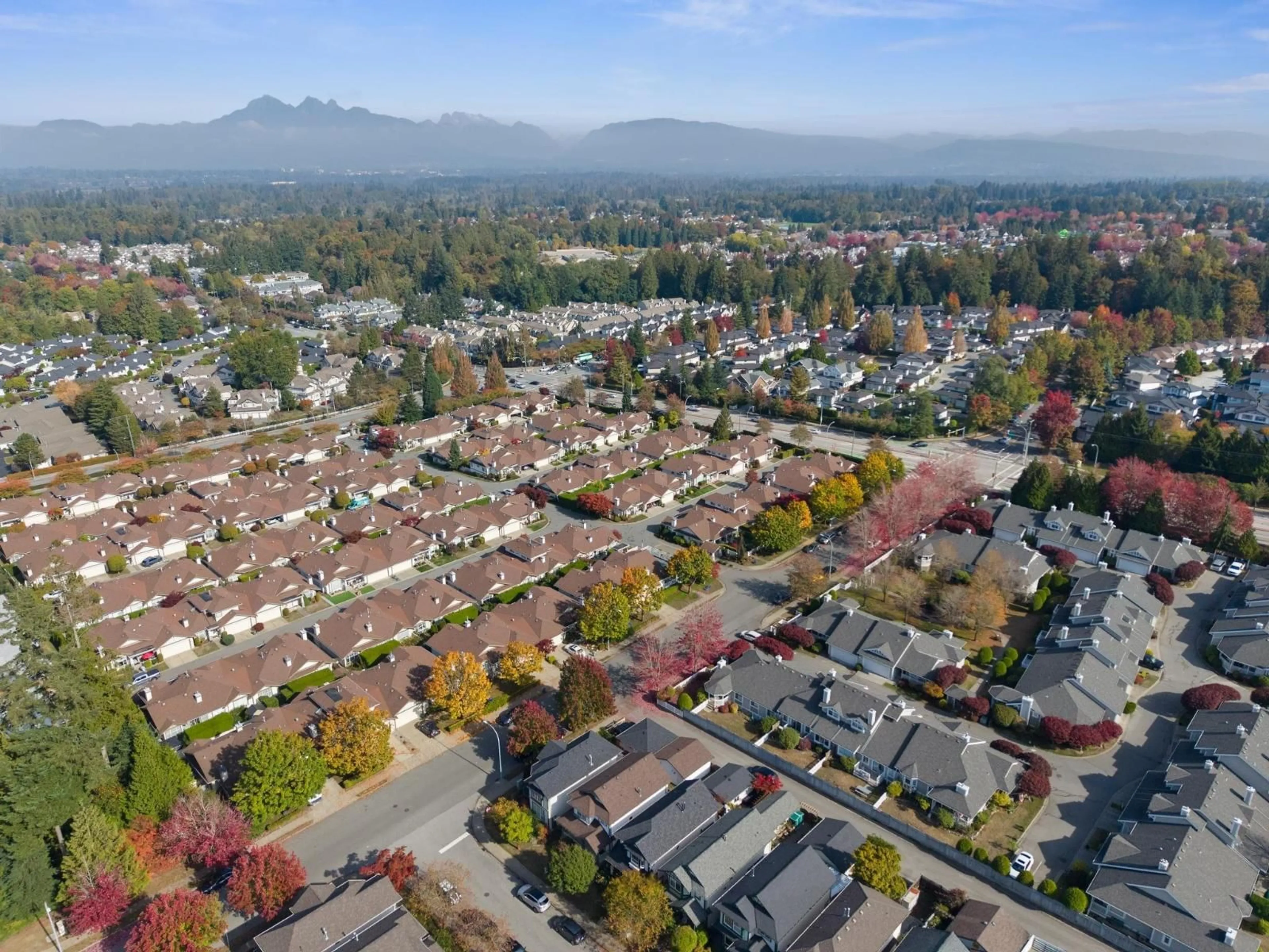 A pic from outside/outdoor area/front of a property/back of a property/a pic from drone, mountain view for 8692 207 STREET, Langley British Columbia V1M3X4