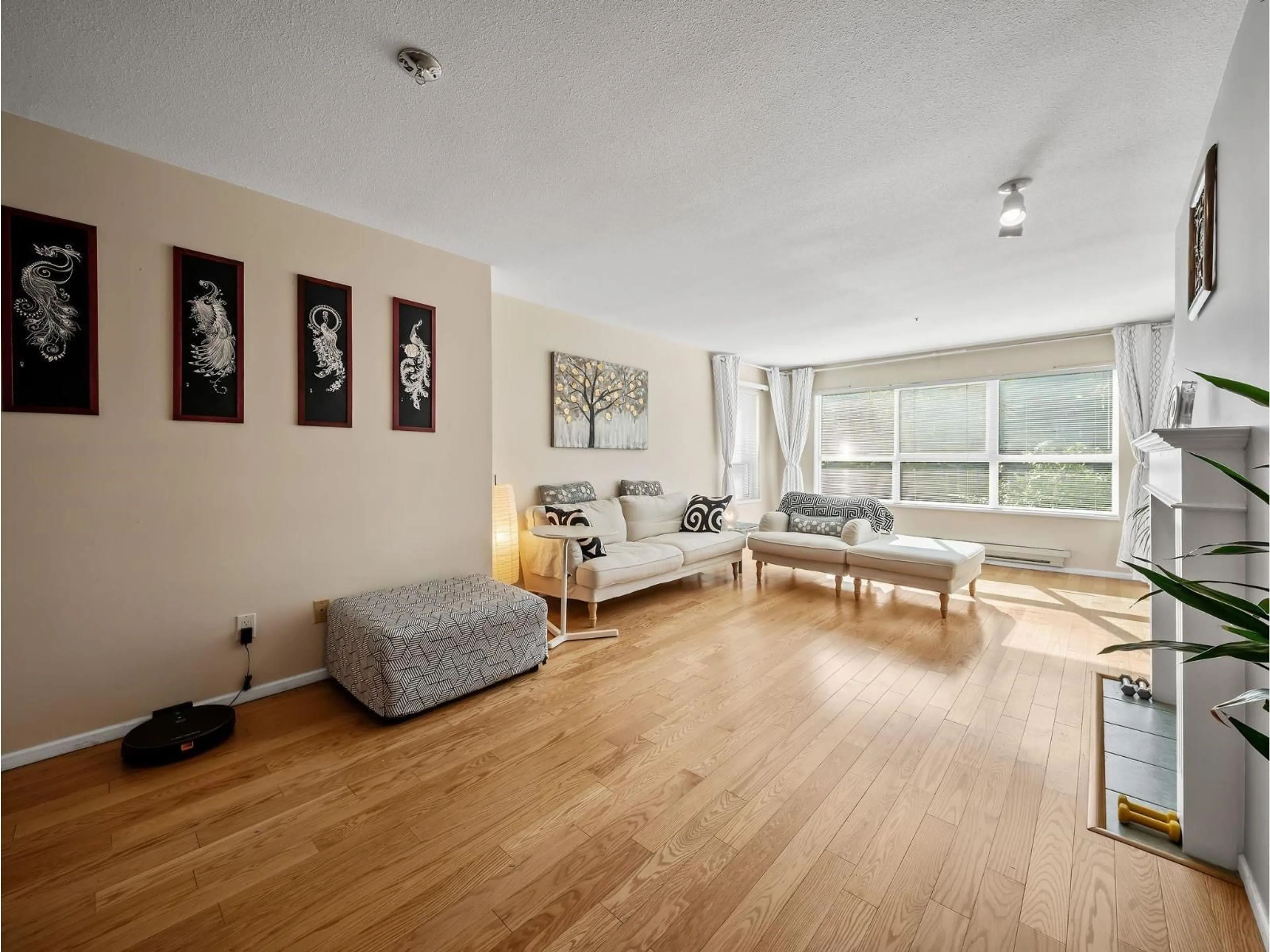 Living room with furniture, wood/laminate floor for 220 - 9688 148 STREET, Surrey British Columbia V3R0W2