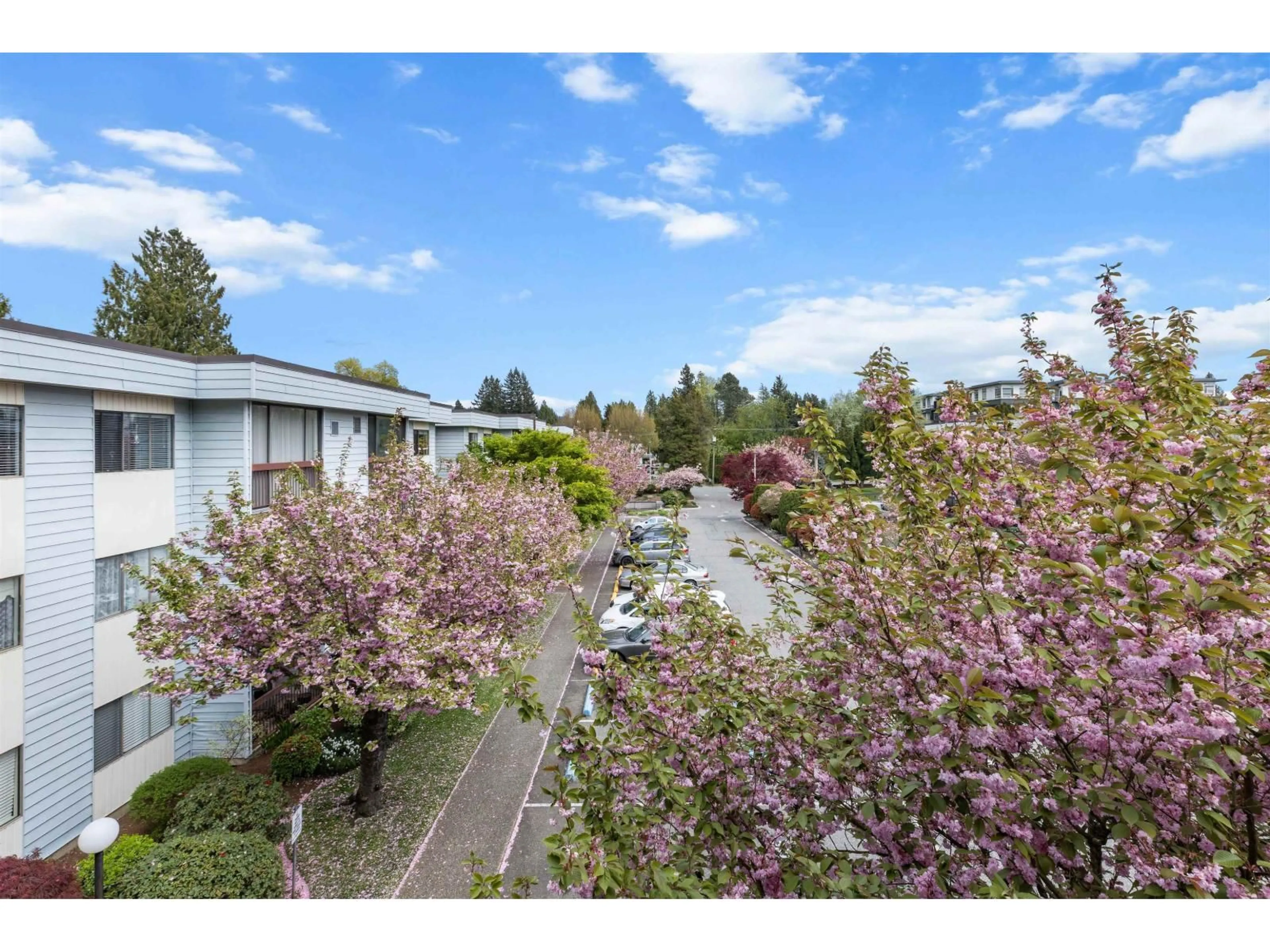A pic from outside/outdoor area/front of a property/back of a property/a pic from drone, mountain view for 307 - 2279 MCCALLUM ROAD, Abbotsford British Columbia V2S3N7