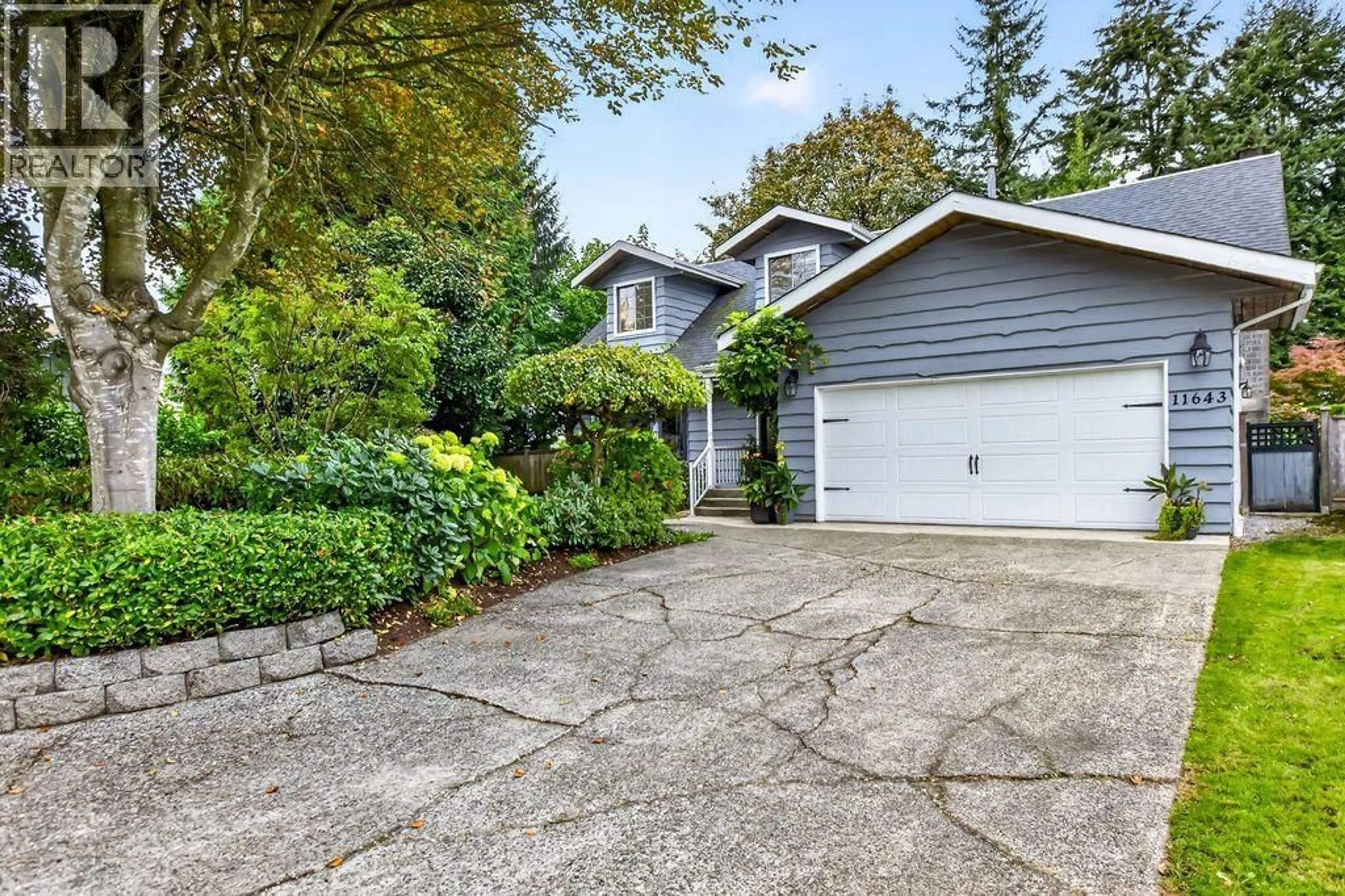 Home with vinyl exterior material, street for 11643 192B STREET, Pitt Meadows British Columbia V3Y1E9