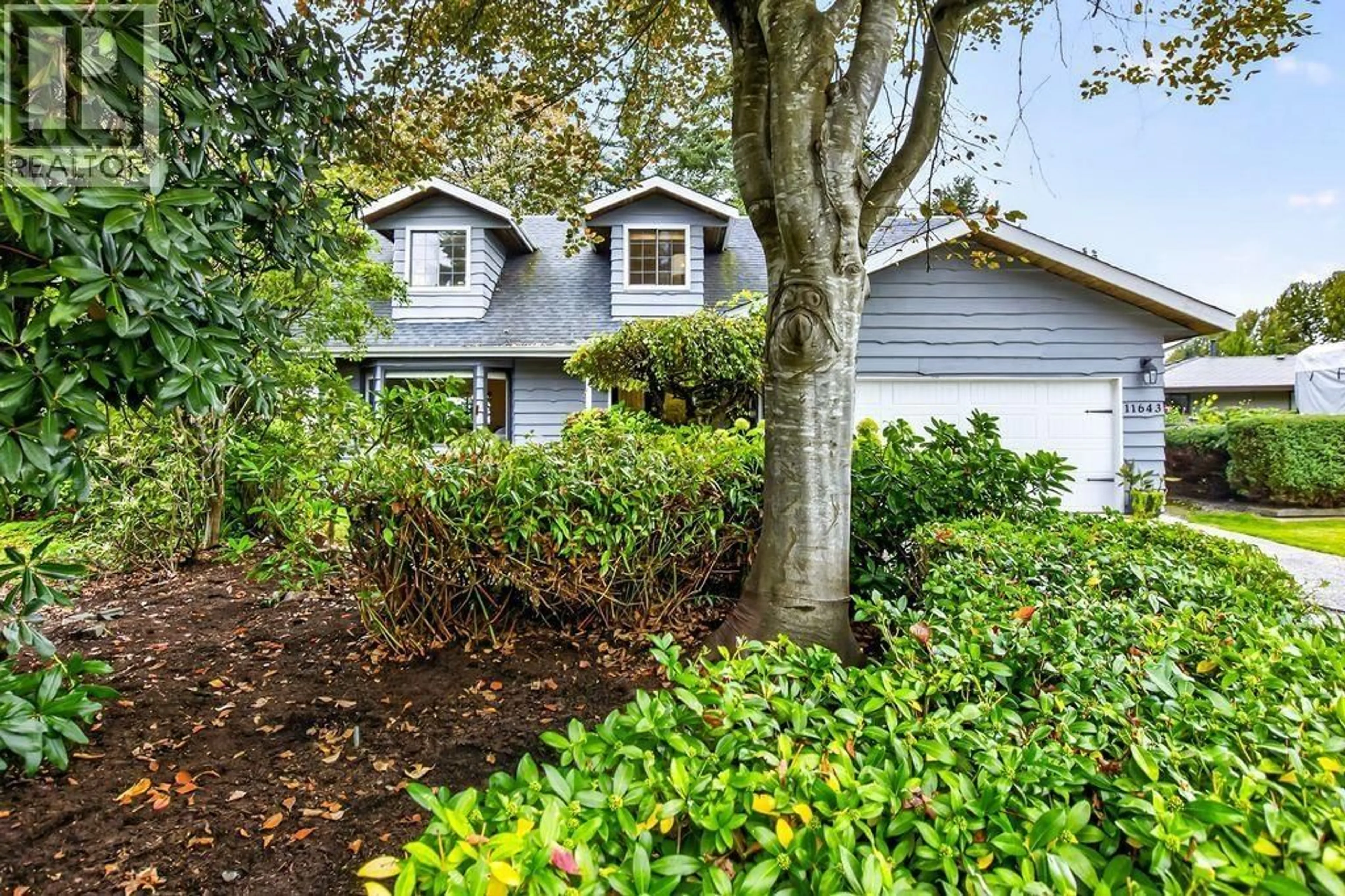 Home with vinyl exterior material, street for 11643 192B STREET, Pitt Meadows British Columbia V3Y1E9